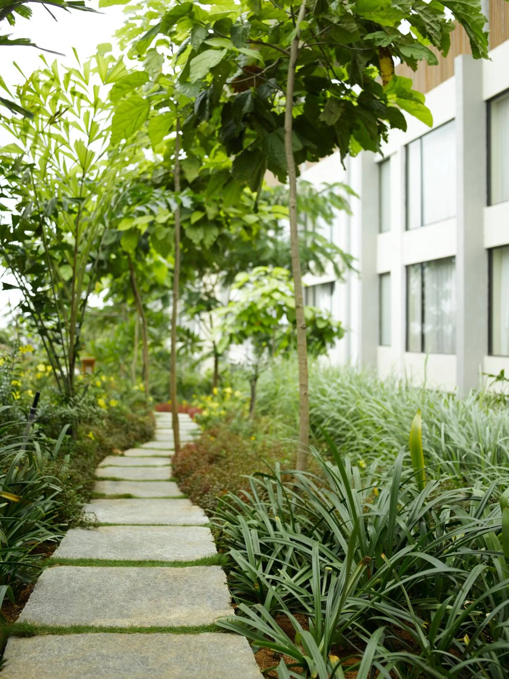 Garden in Hyatt Hyderabad Gachibowli