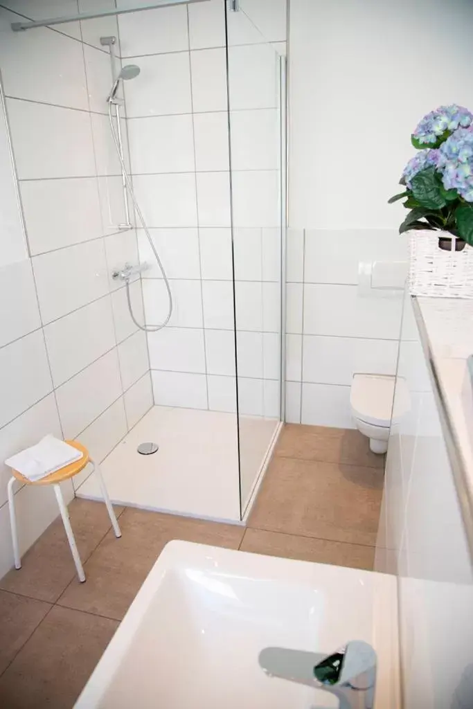 Shower, Bathroom in Hotel Zum Goldenen Stern