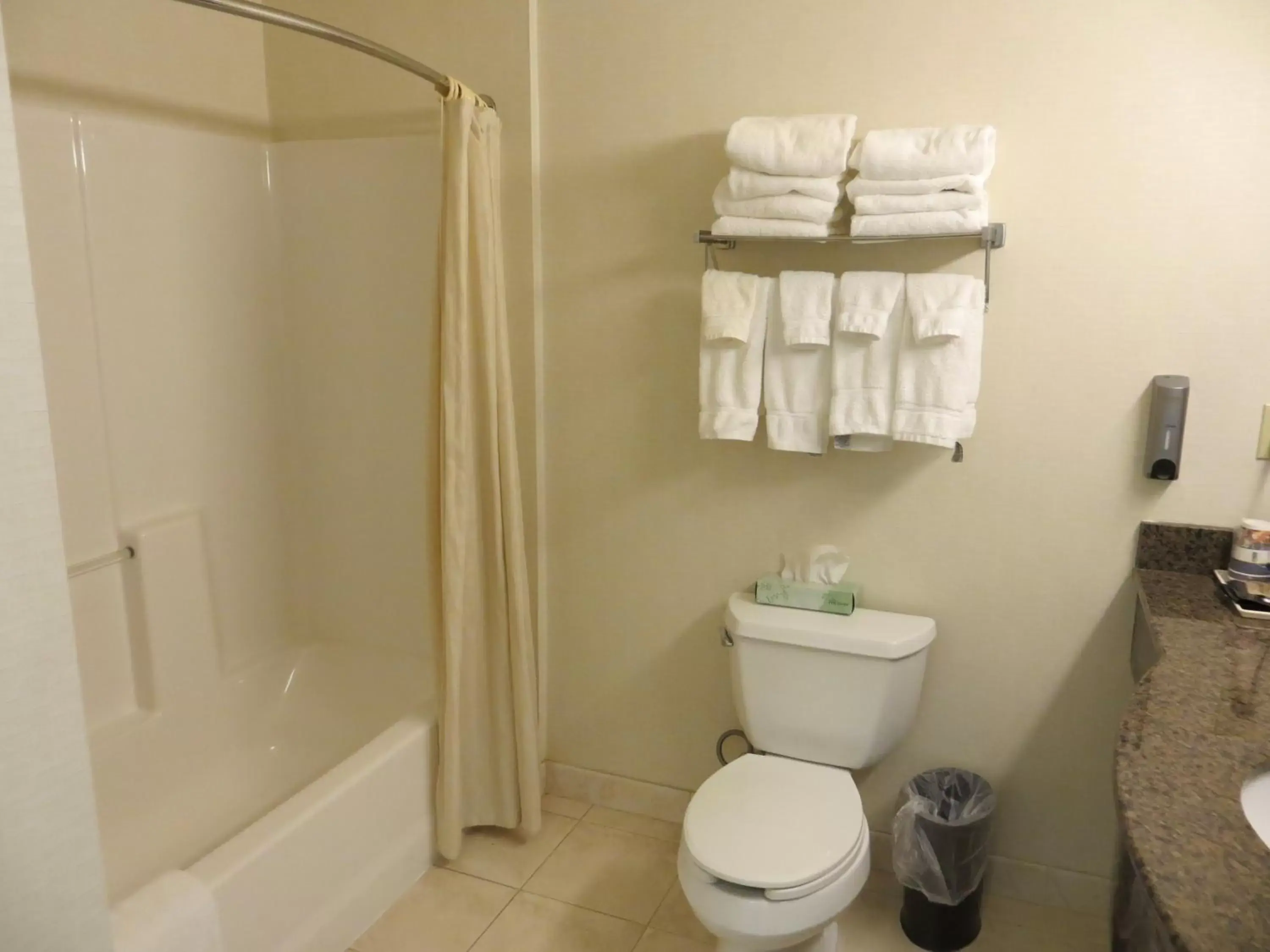 Toilet, Bathroom in Best Western Plus Lake Elsinore Inn & Suites