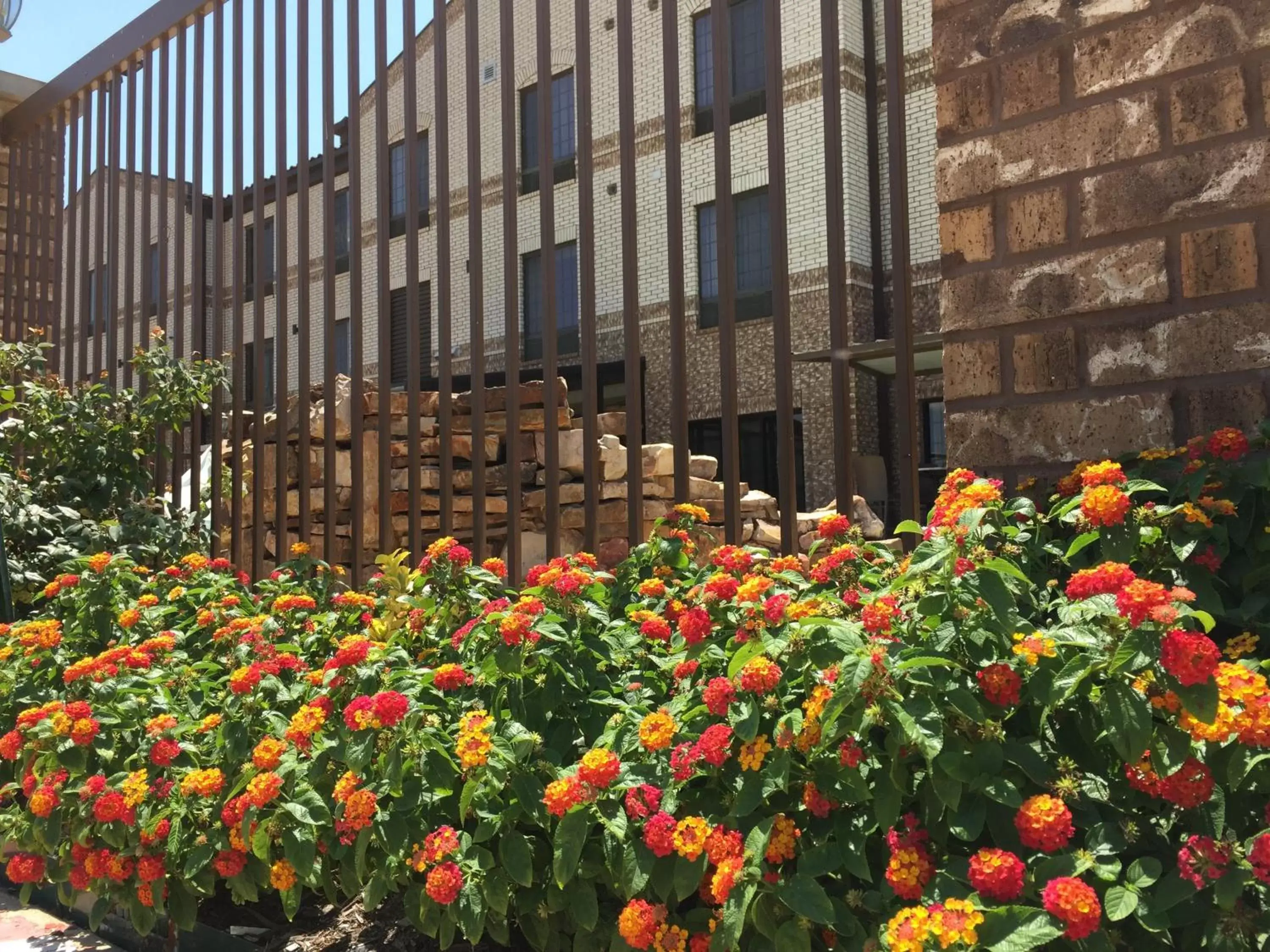 Garden, Property Building in Comfort Suites Marshall