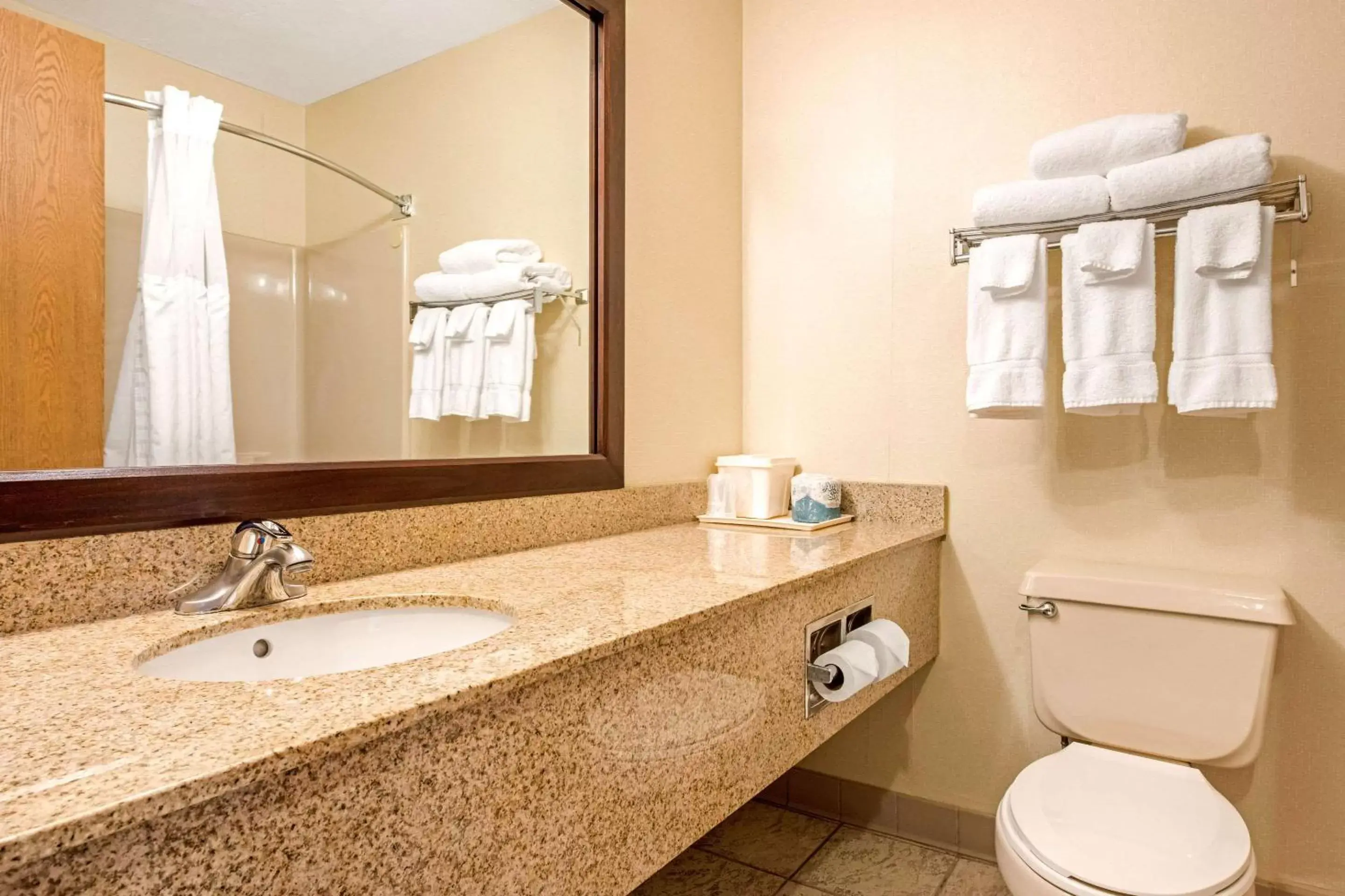 Bathroom in Quality Inn & Suites New Castle