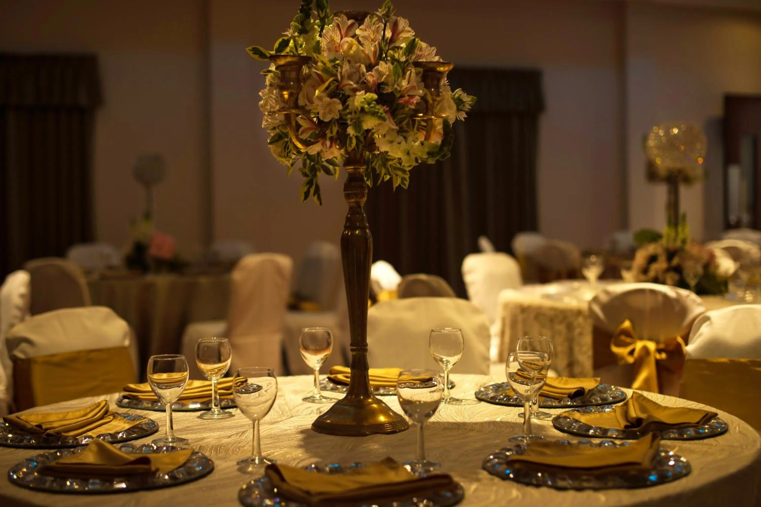 Banquet/Function facilities in Hotel Brio Inn