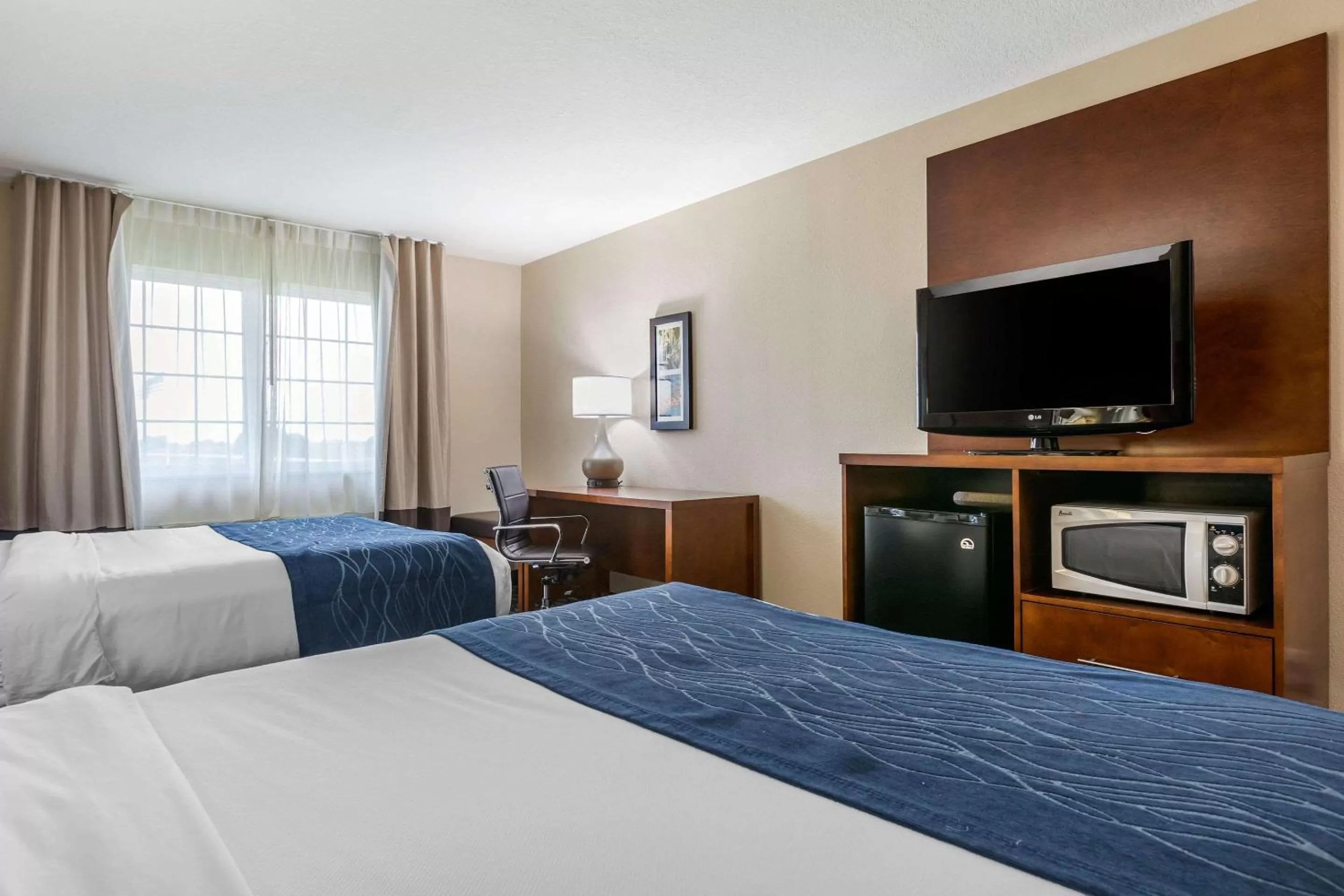 Photo of the whole room, Bed in Comfort Inn