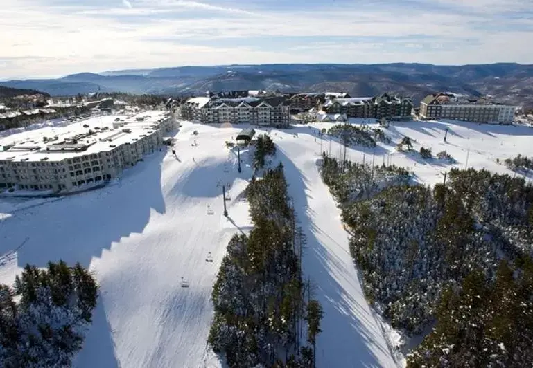 Bird's-eye View in Highland House