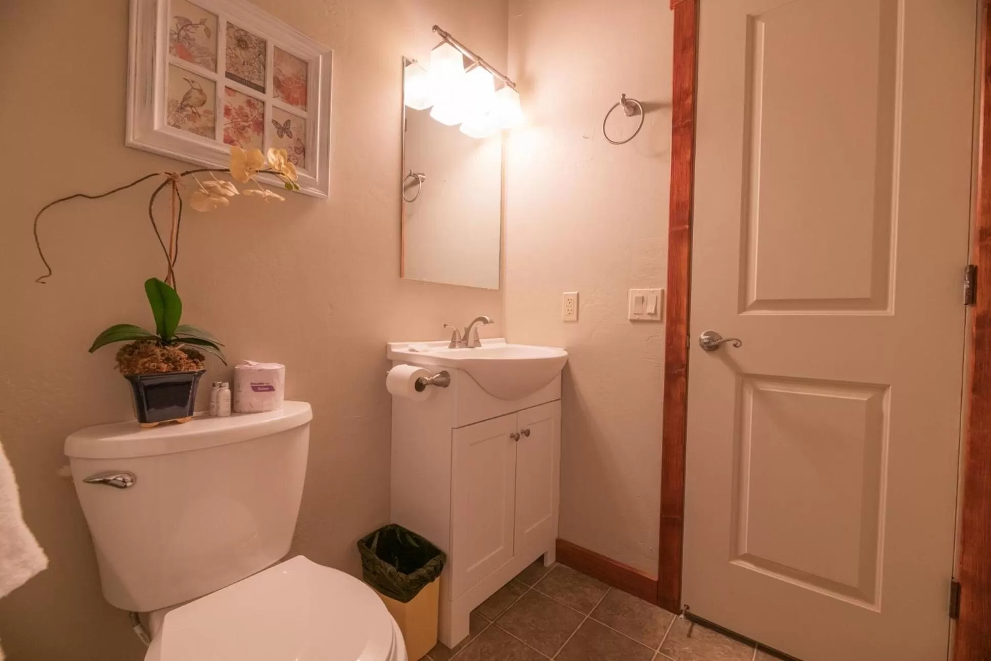 Bathroom in Black Forest Lodge