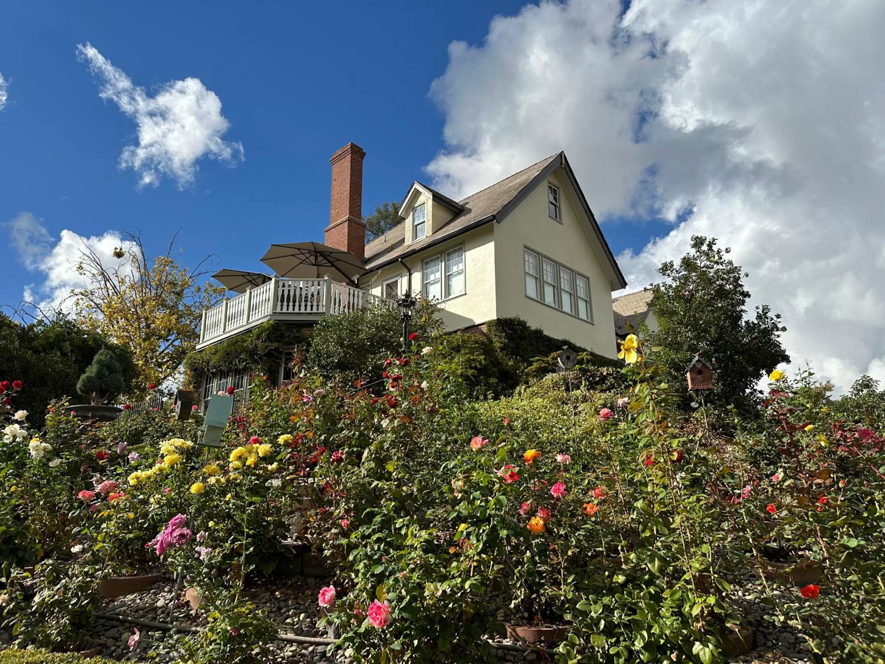 Garden in The Inn on Knowles Hill Bed & Breakfast Hotel