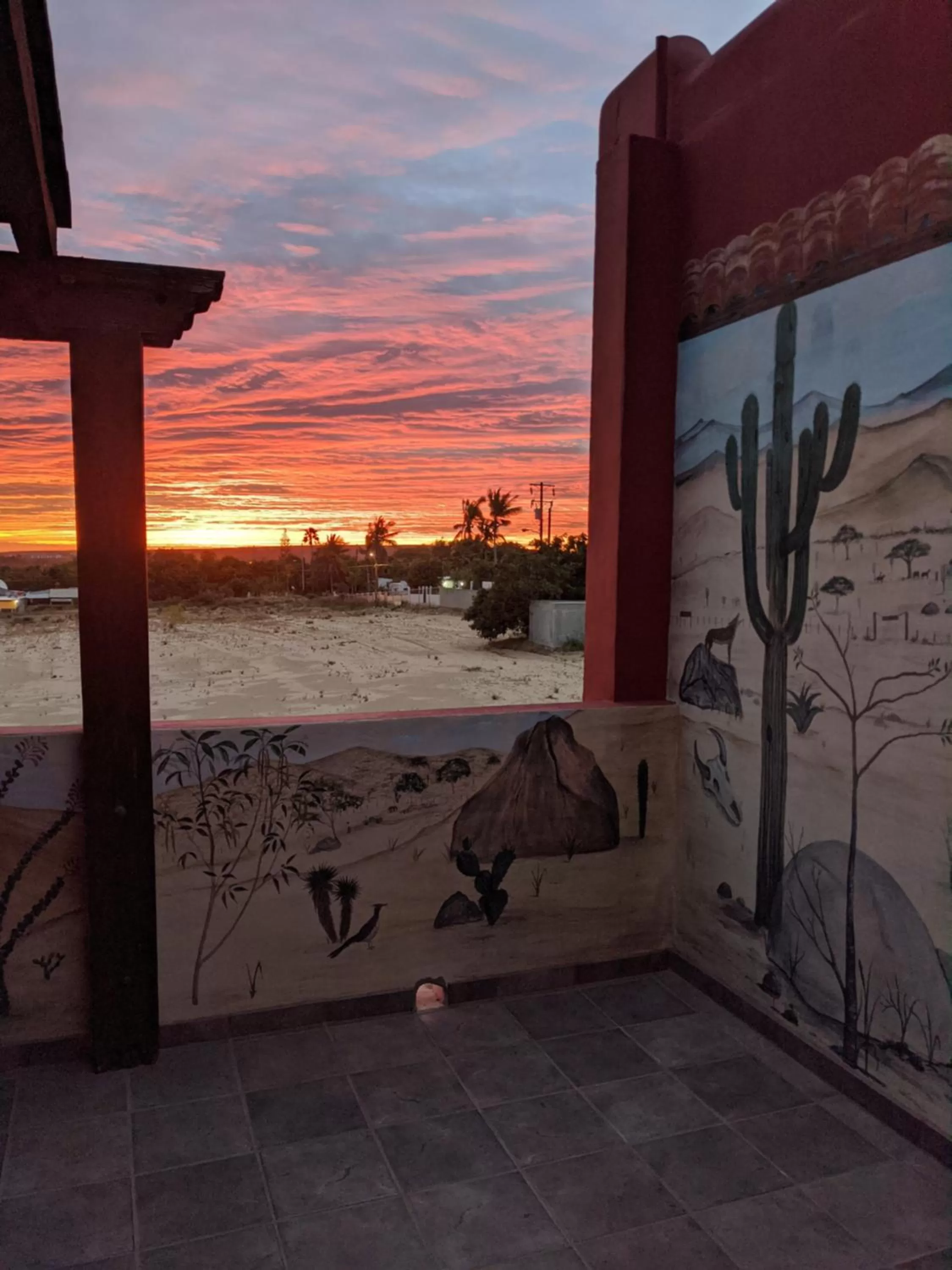 Sunrise in Hacienda De Palmas