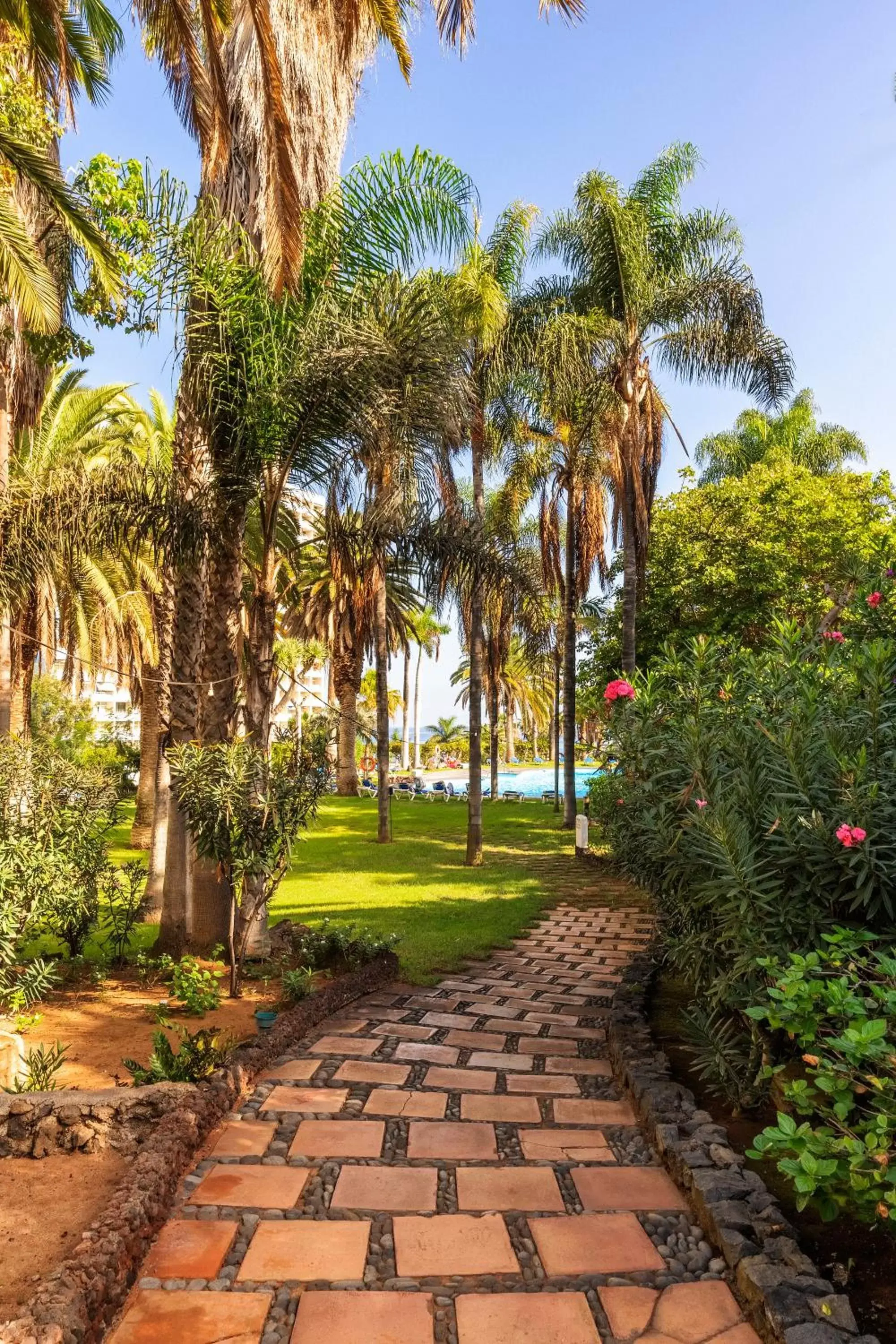 Garden in Precise Resort Tenerife