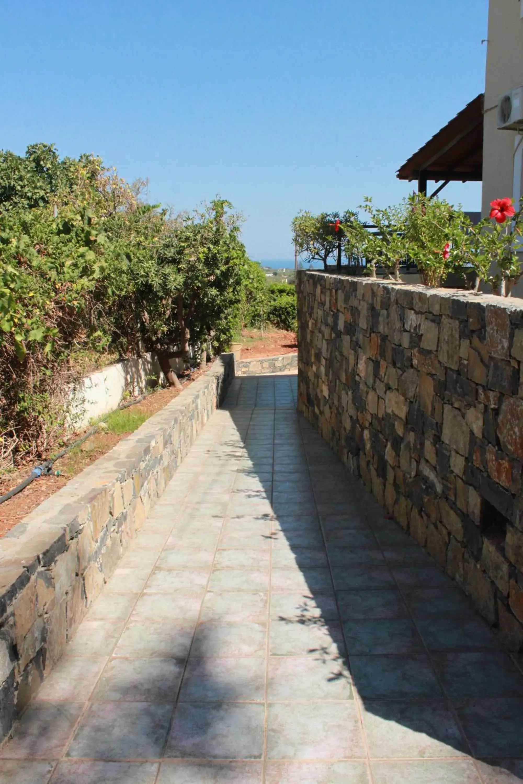 Property building, Balcony/Terrace in Medusa Villa