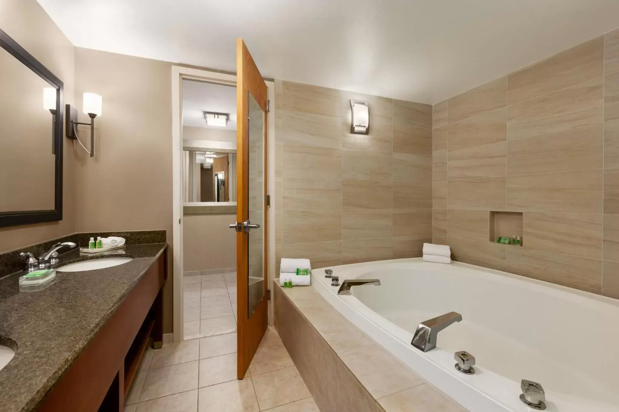 Bathroom in Holiday Inn Washington-Dulles International Airport, an IHG Hotel