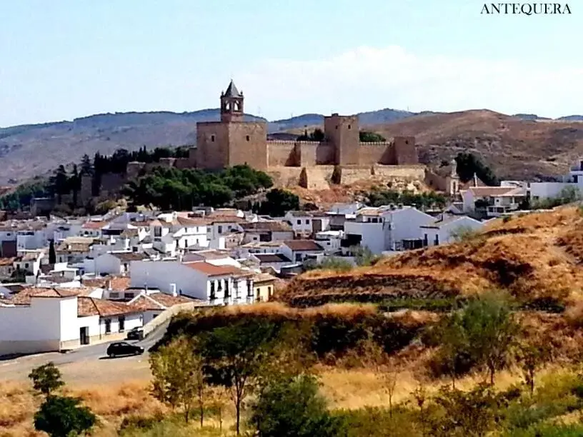 View (from property/room) in Hotel Castilla