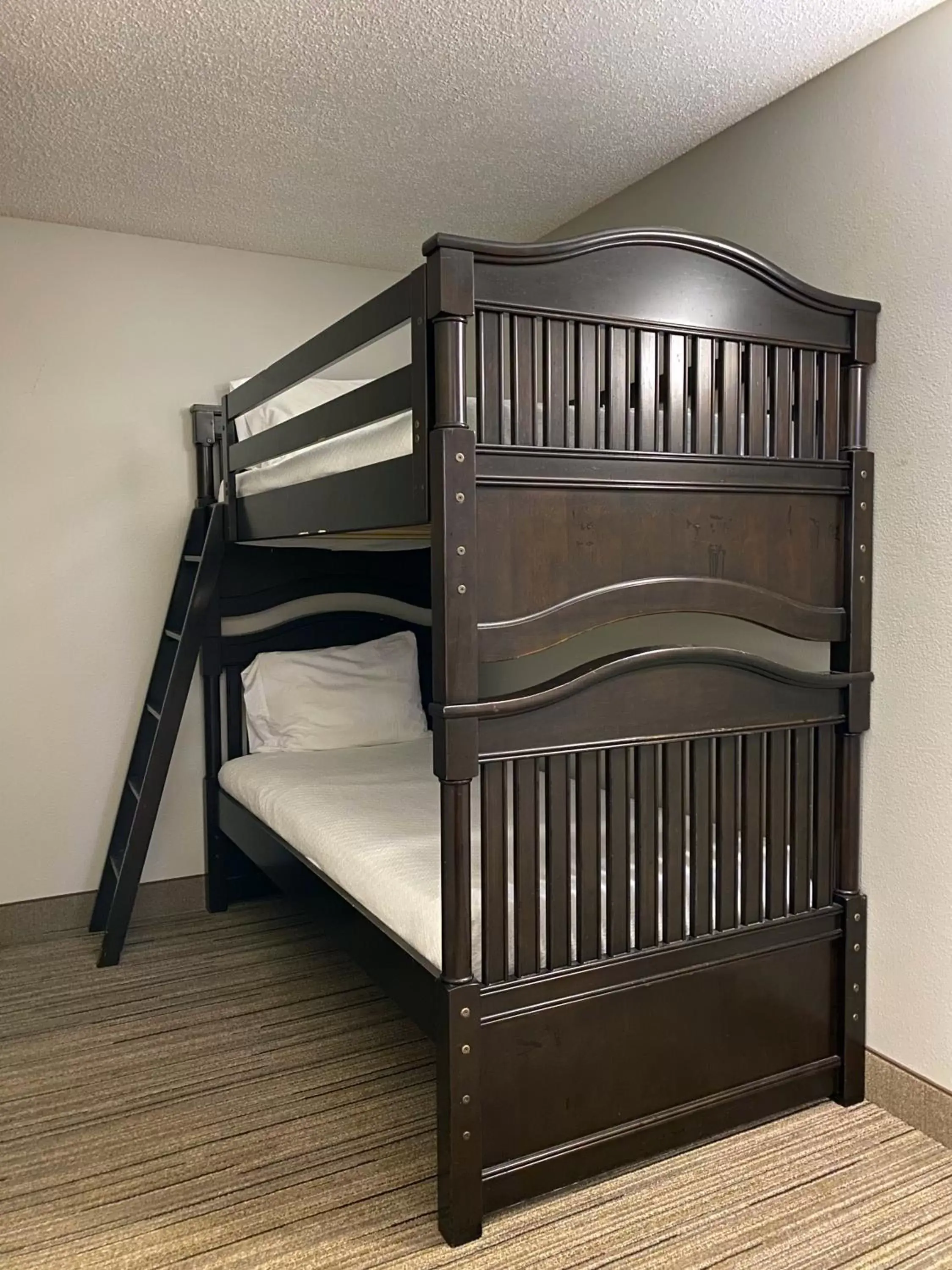 Bunk Bed in Holiday Inn Express Hotel & Suites Somerset Central, an IHG Hotel