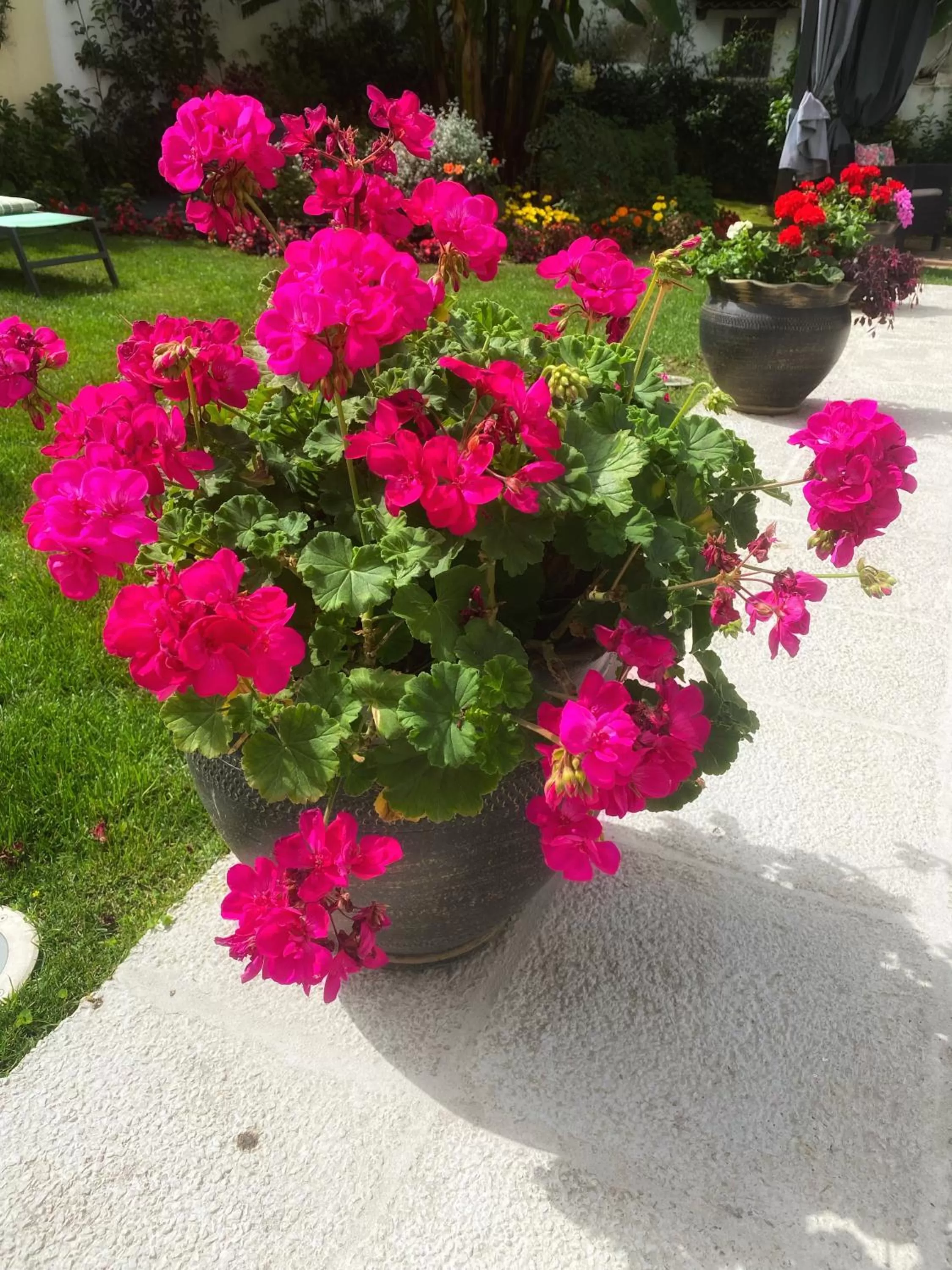 TM Luxury Apartments Lisbon