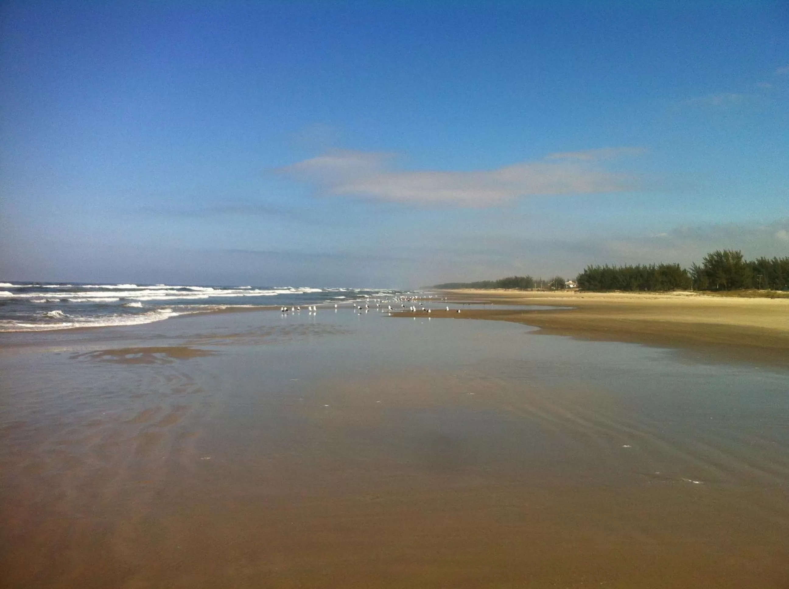 Natural landscape in Pousada dos Sambaquis