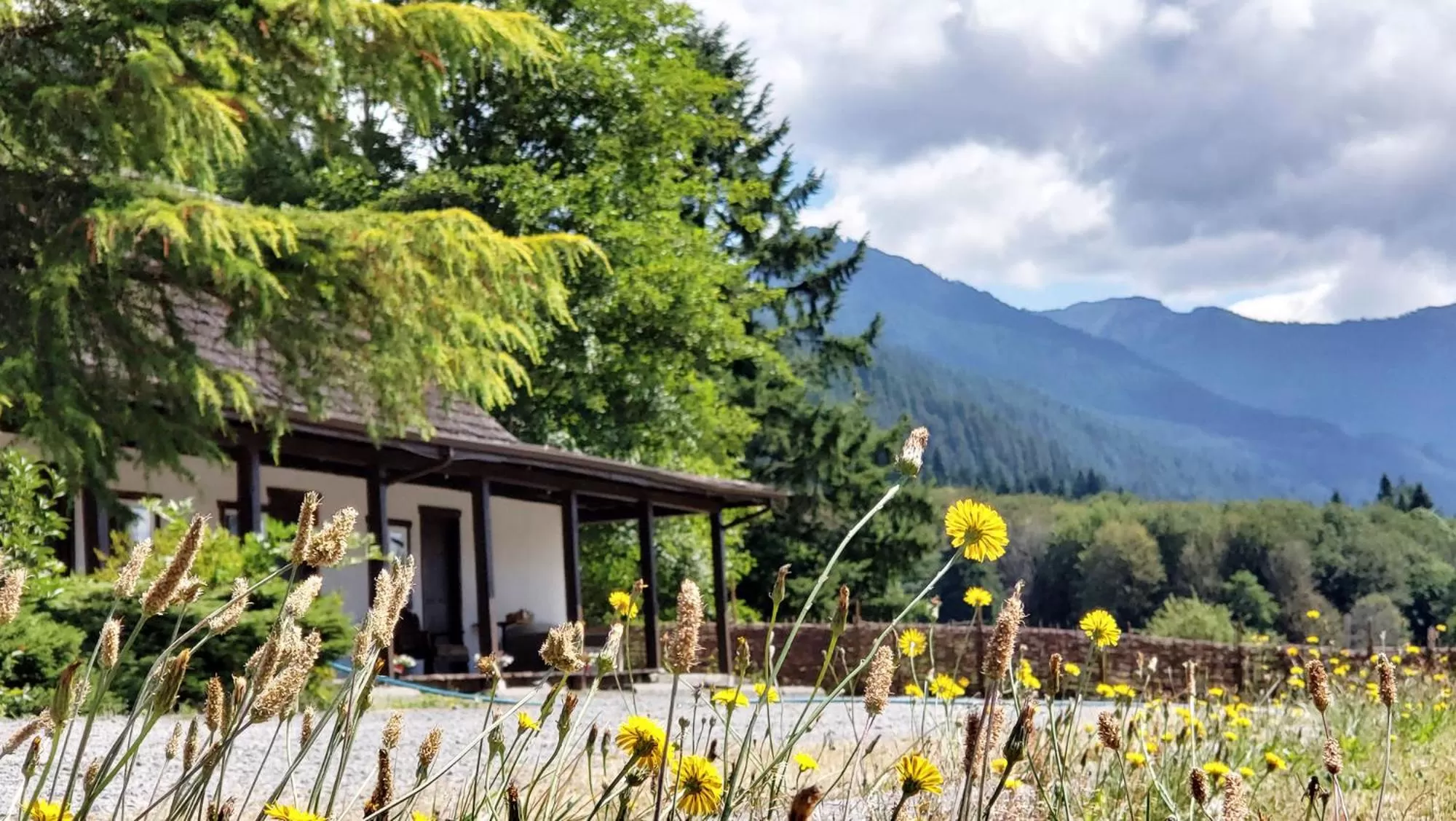 Property building in Paradise Village