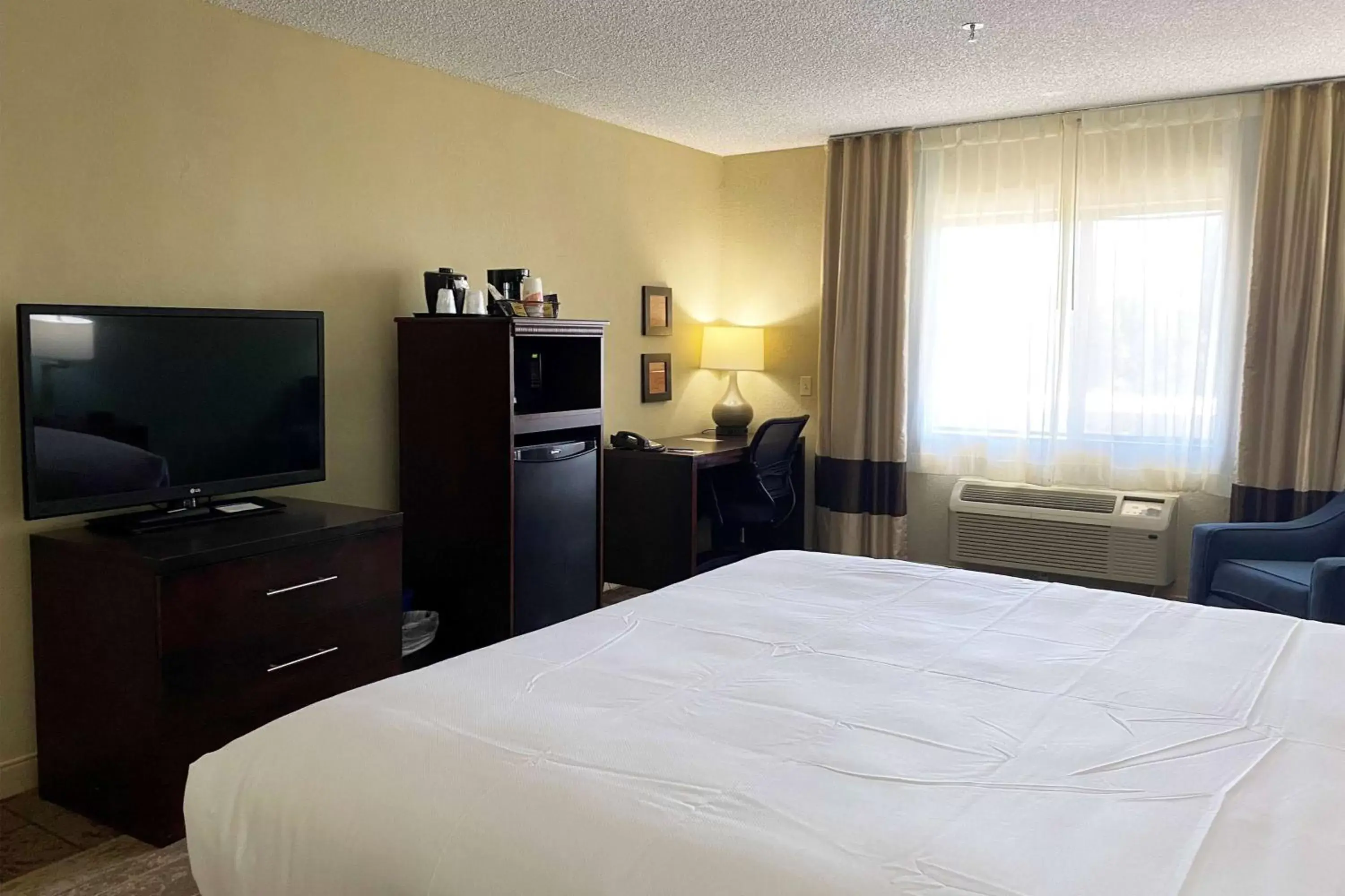 Photo of the whole room, Bed in Wyndham Garden Newark Fremont Silicon Valley