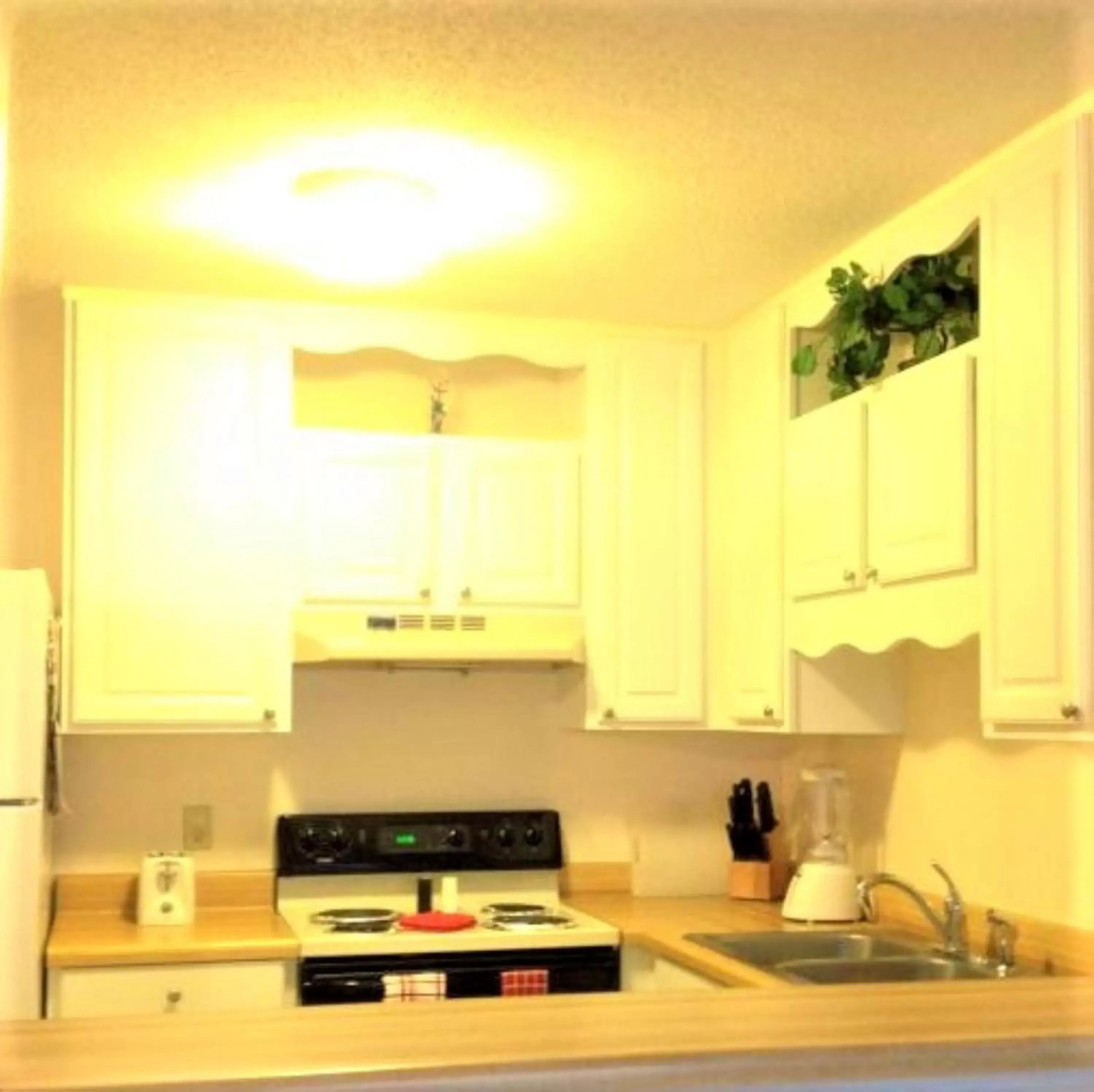 Kitchen or kitchenette, Kitchen/Kitchenette in Village by the Gulf