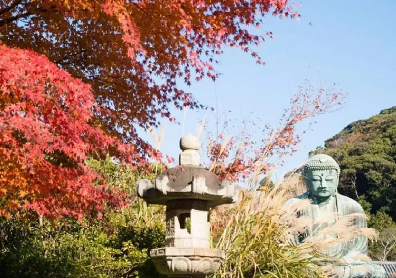 Autumn in WeBase KAMAKURA