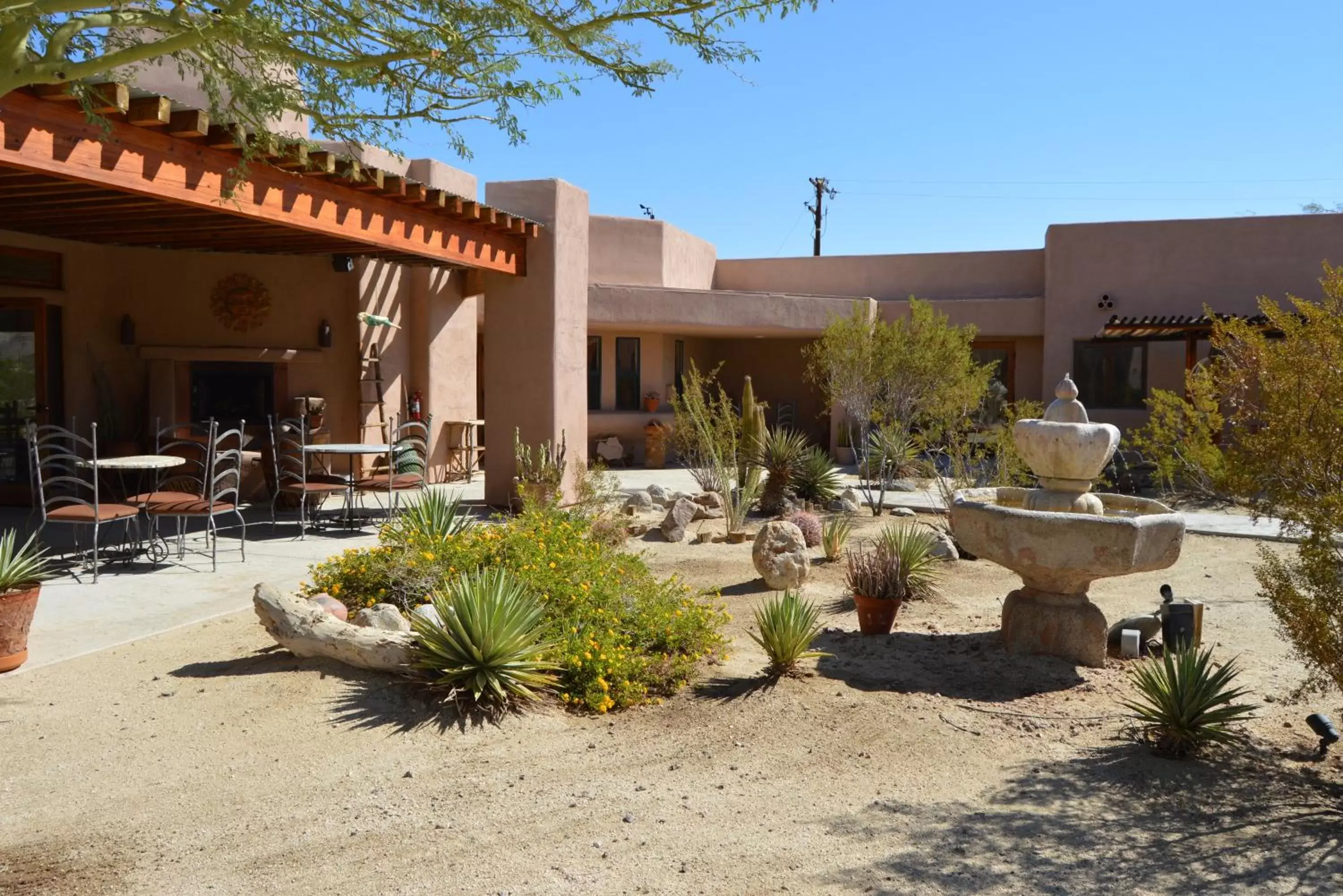 View (from property/room) in Borrego Valley Inn