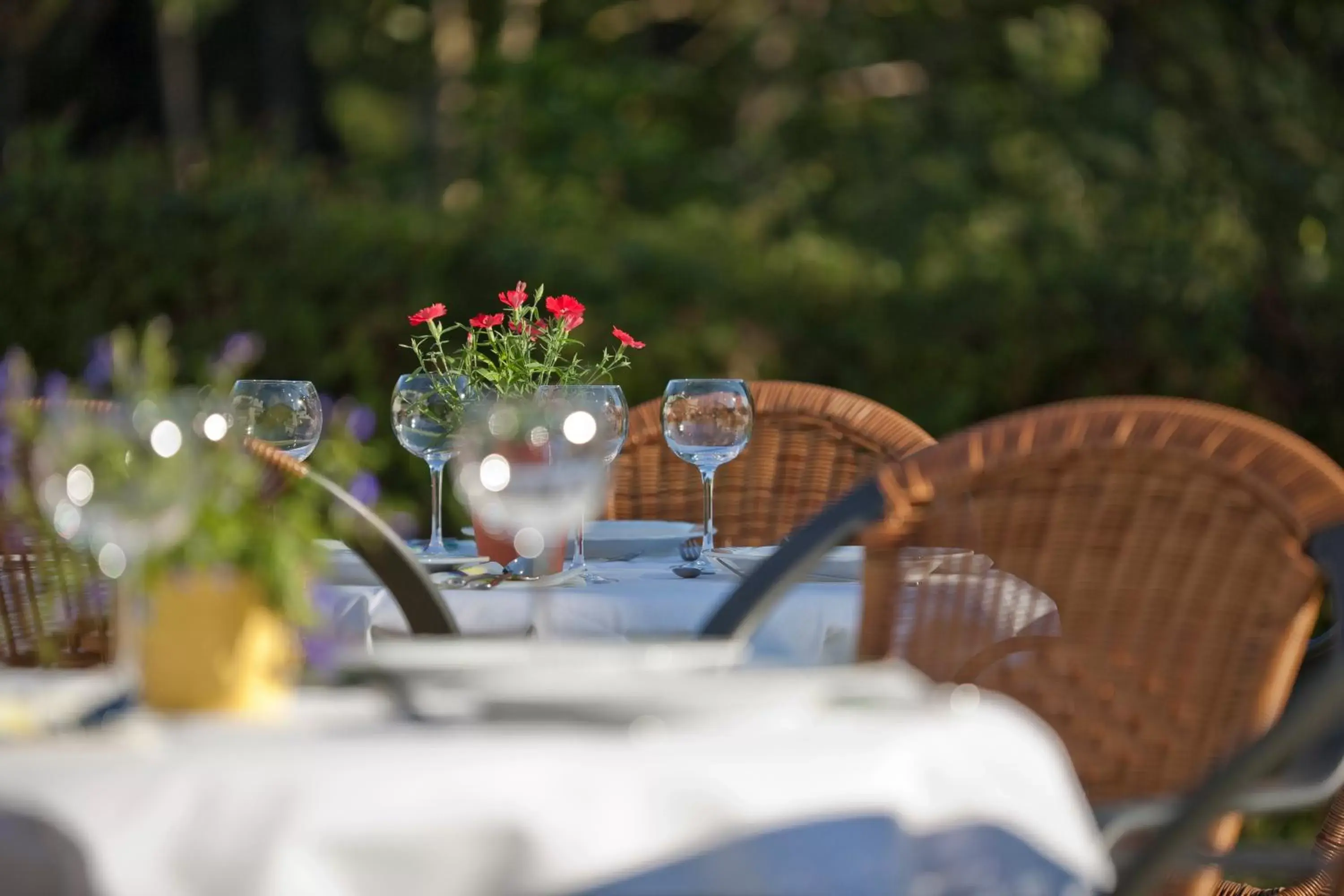 Balcony/Terrace, Restaurant/Places to Eat in Landhotel Karrenberg