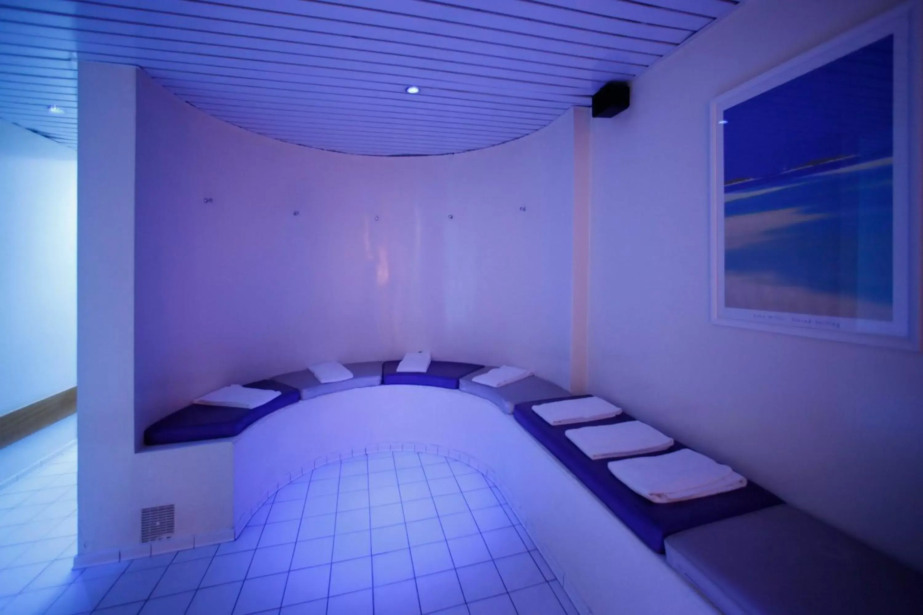 Hot Tub, Swimming Pool in Hotel Mercure Grenoble Centre Président