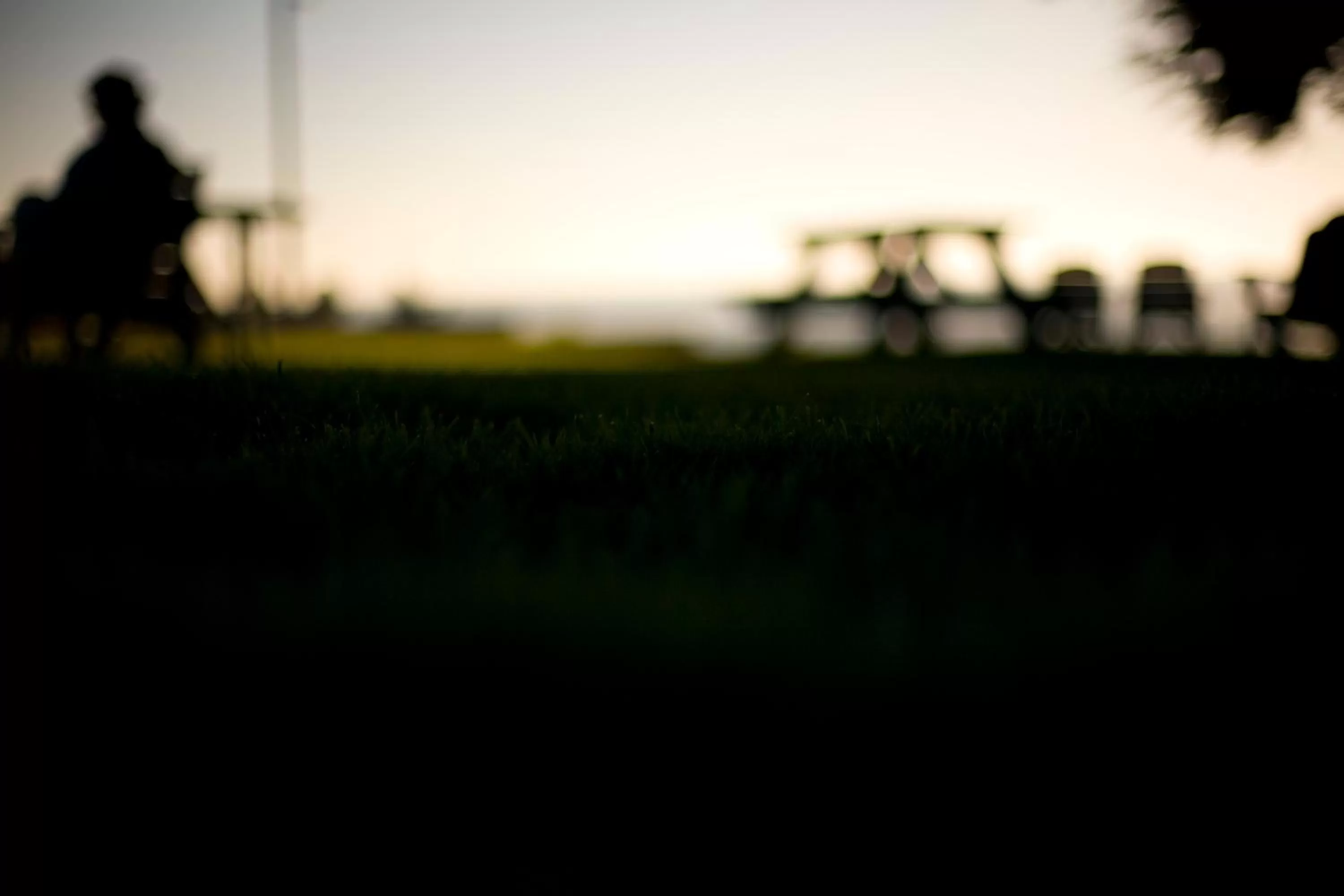 View (from property/room) in Cambria Shores Inn