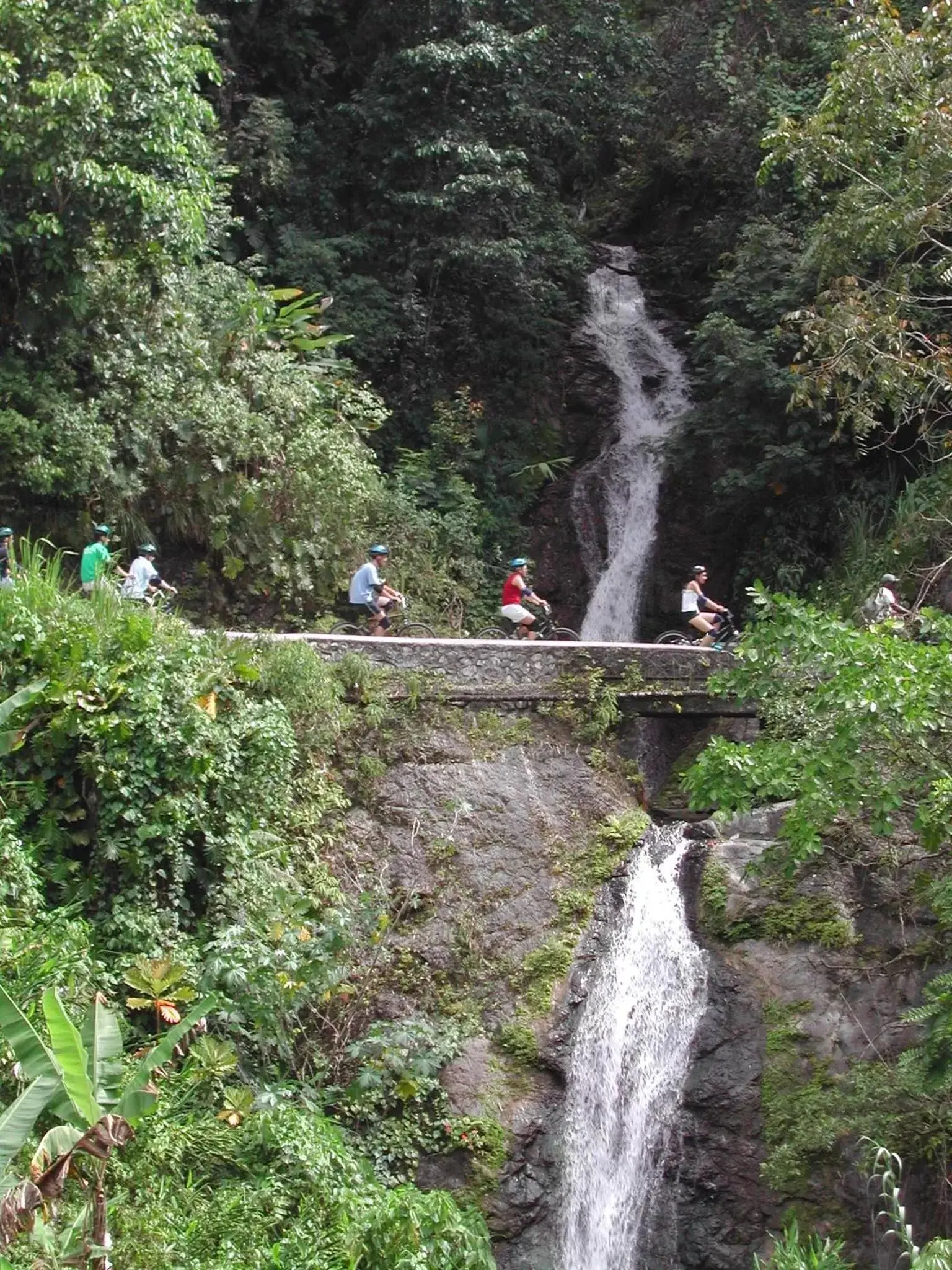 Cycling, Natural Landscape in Moon San Villa at the Blue Lagoon