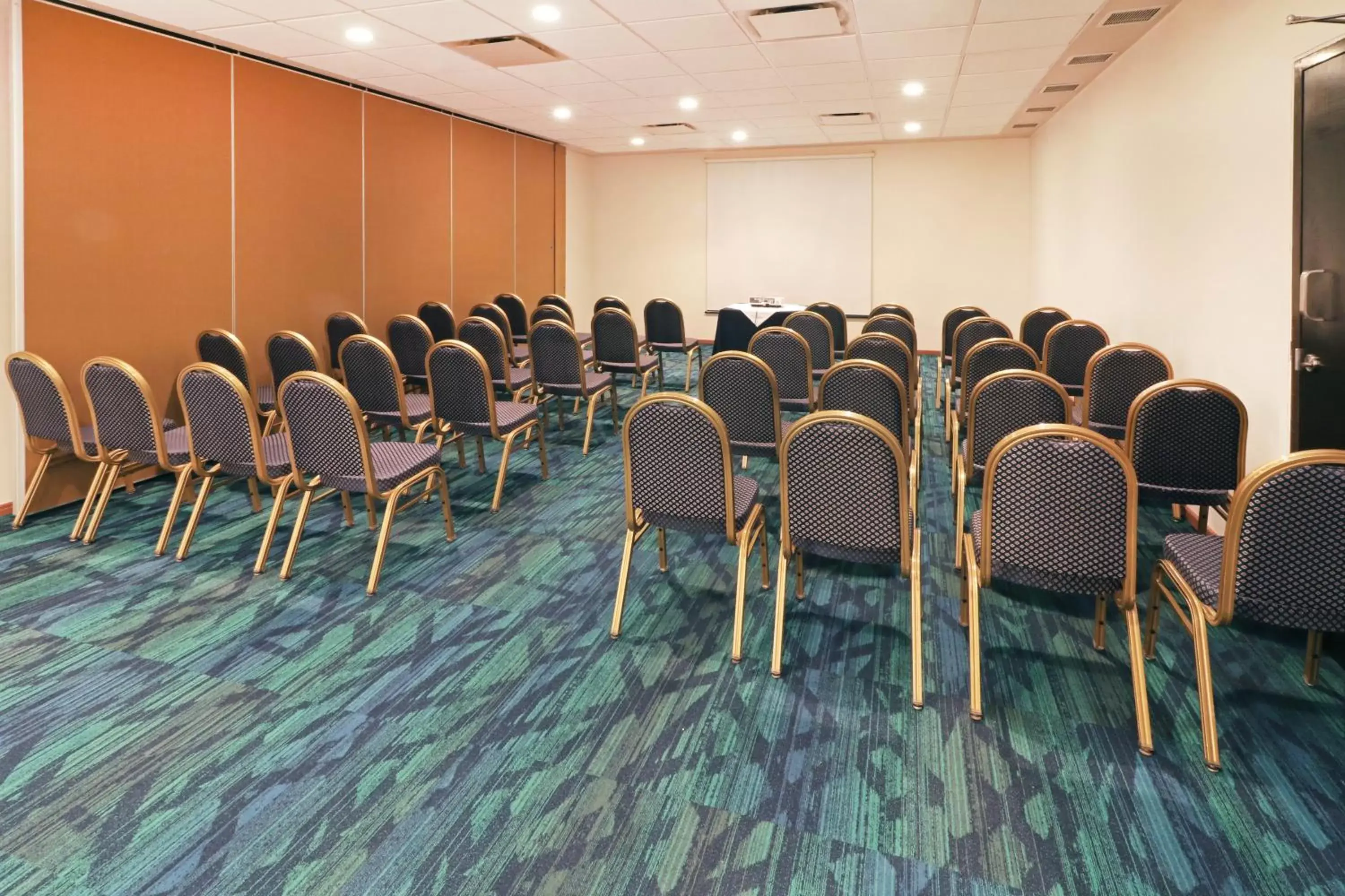 Meeting/conference room in Holiday Inn Express - Tuxpan, an IHG Hotel
