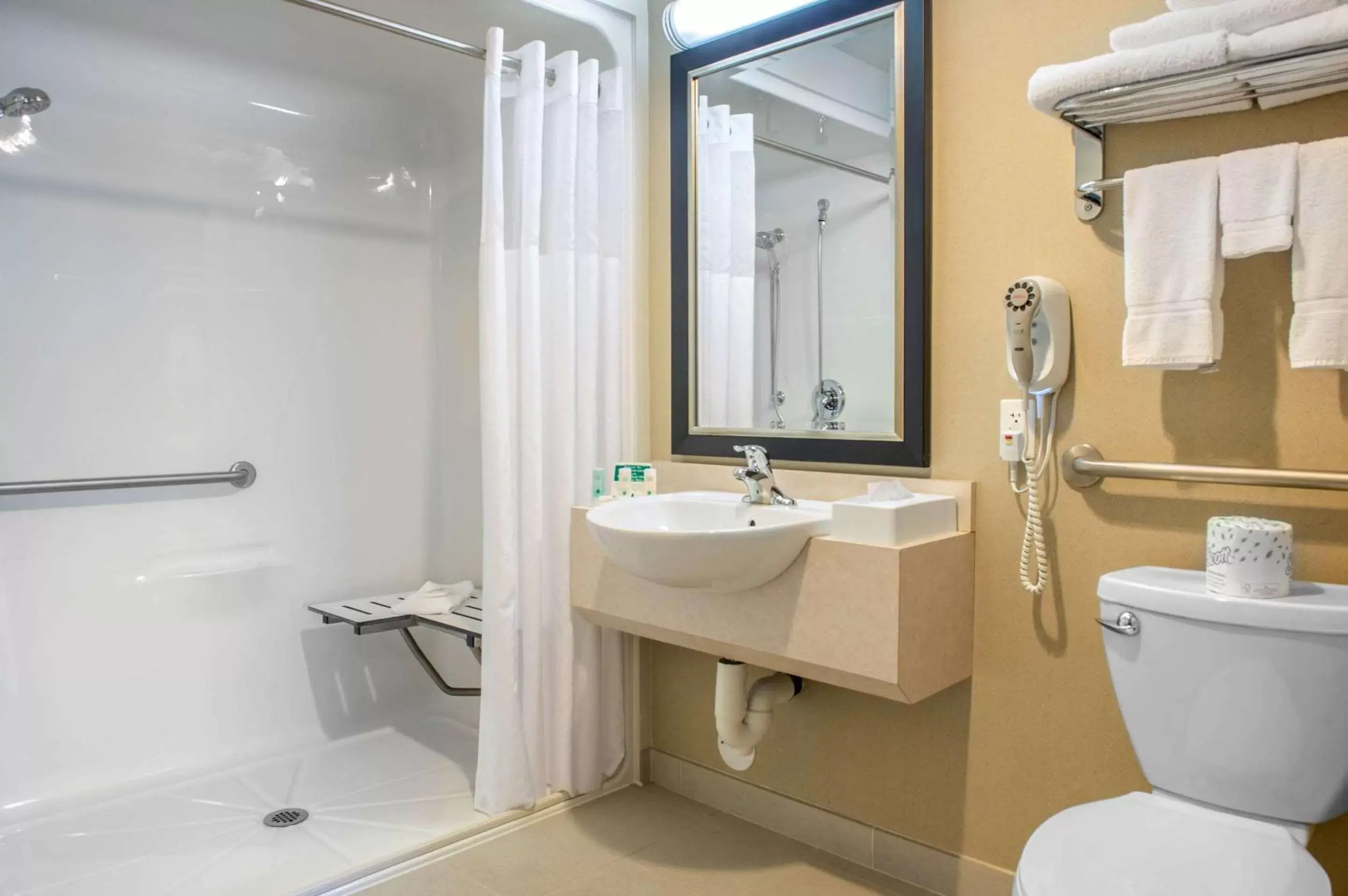 Bathroom in Quality Inn & Suites Petawawa