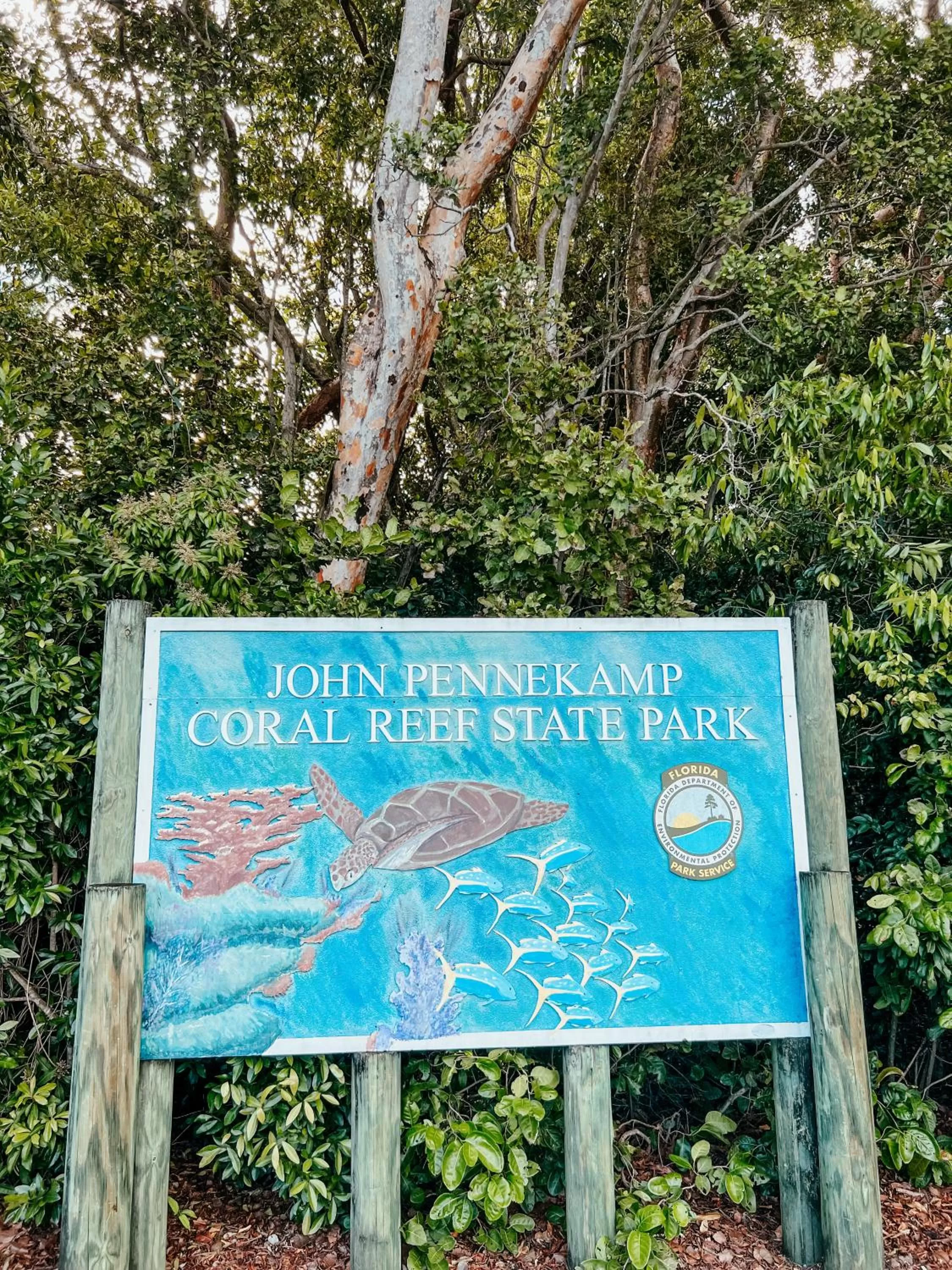 Natural landscape in Bayside Inn Key Largo