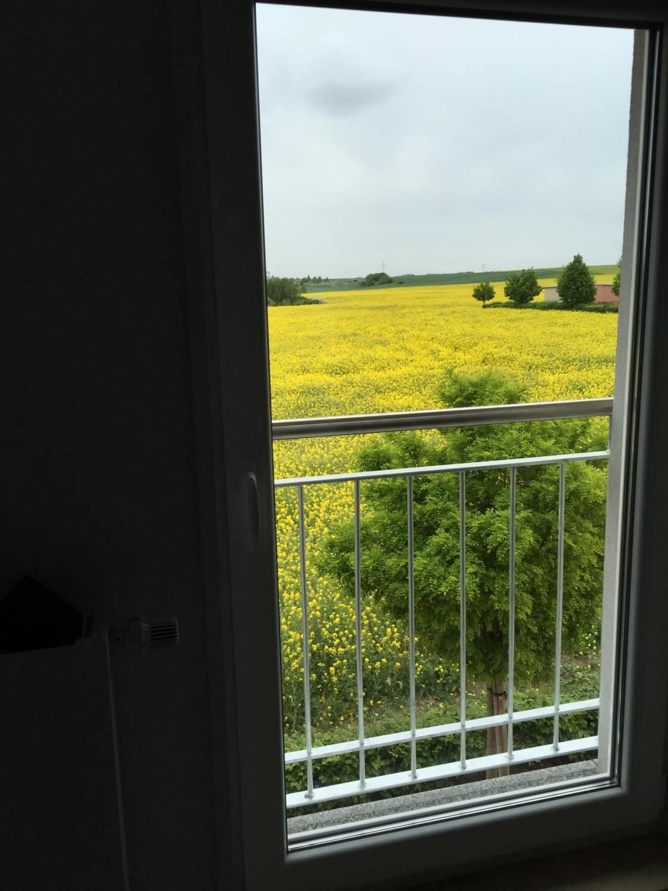 Garden view in Landhaus Bennstedt