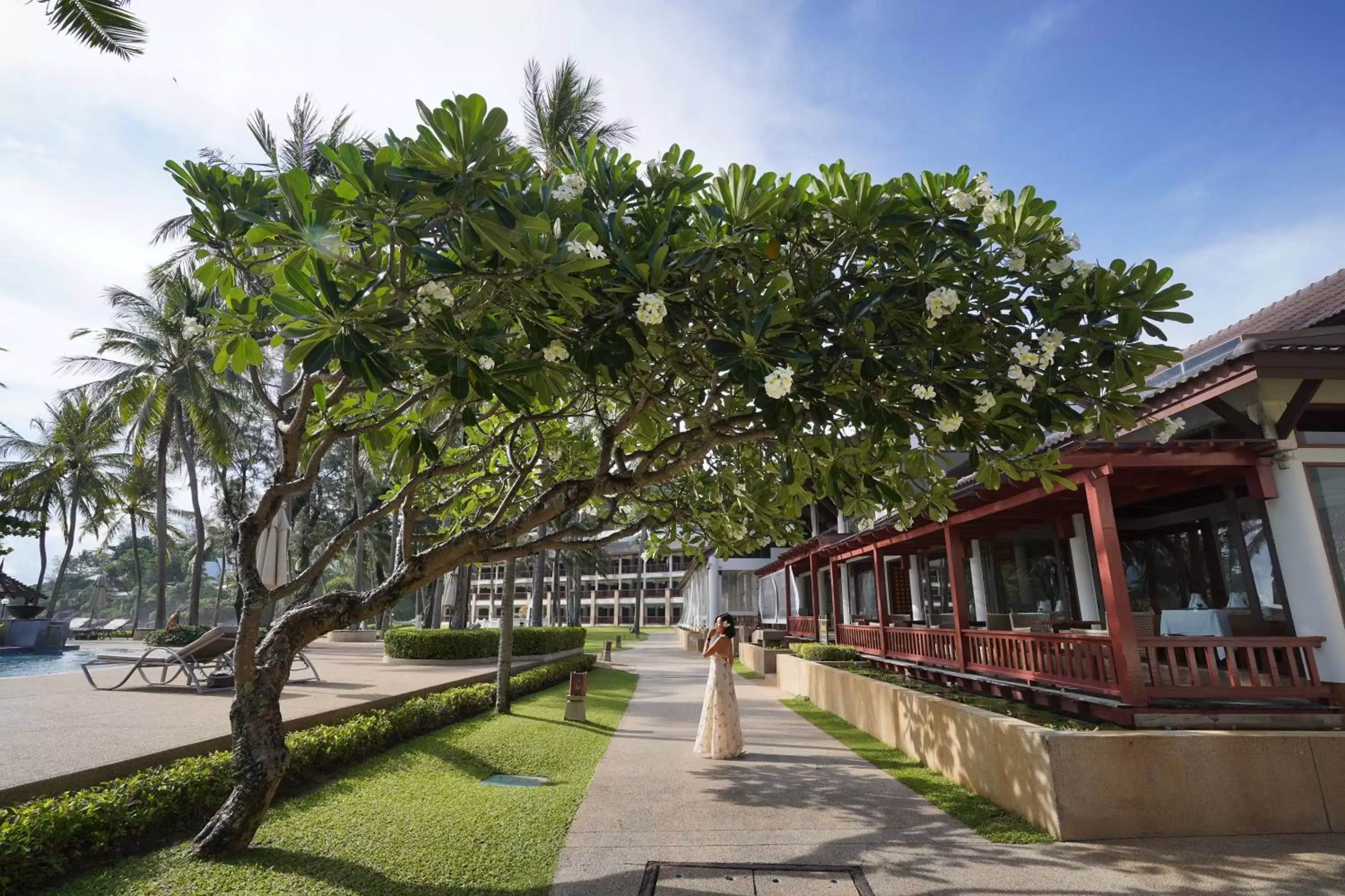 Garden, Property Building in Katathani Phuket Beach Resort - SHA Extra Plus