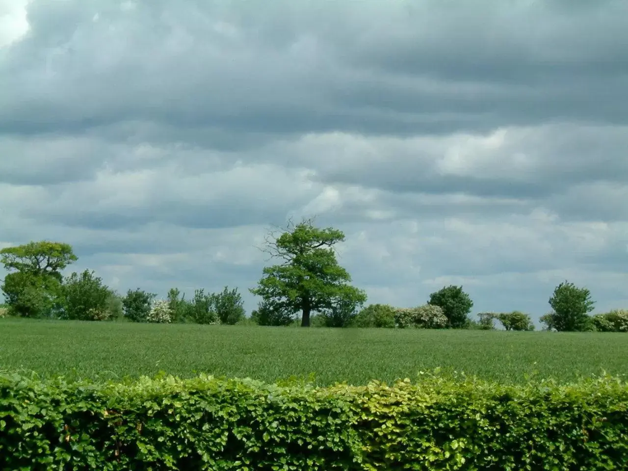 Natural Landscape in Highfield Farm