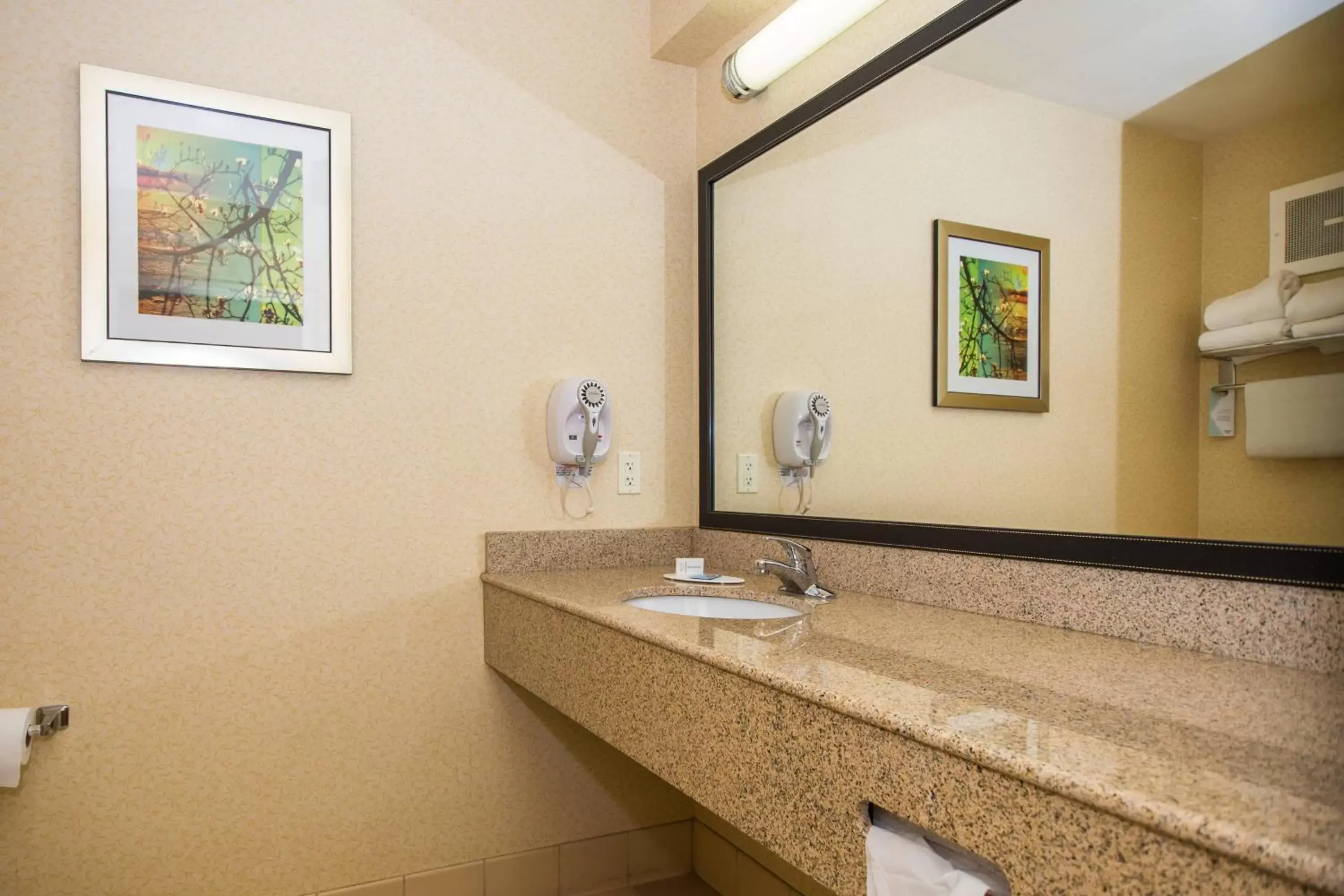 Photo of the whole room, Bathroom in Fairfield Inn & Suites Rapid City