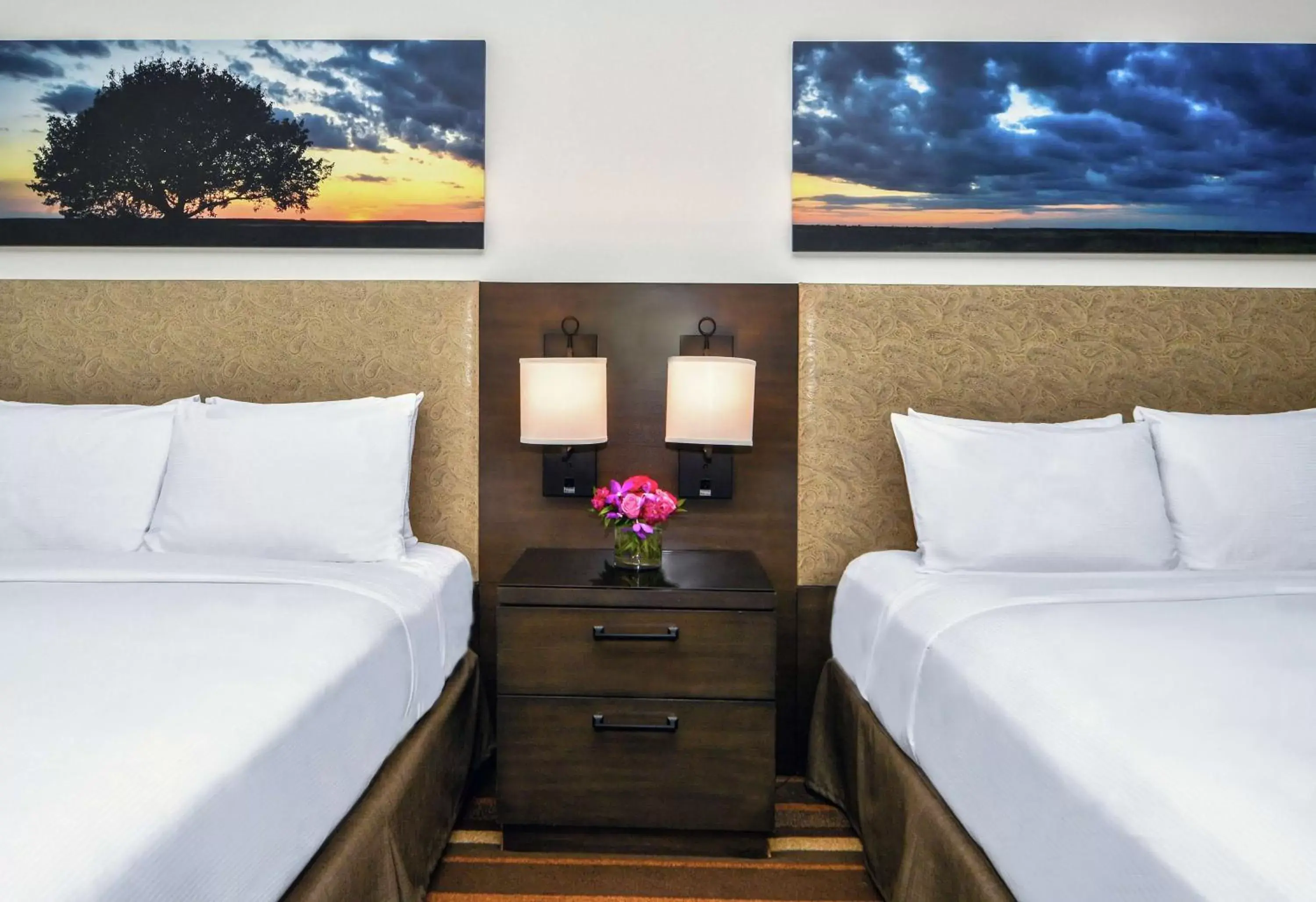 Queen Room with Two Queen Beds - Disability Access with Roll In Shower in Hilton Dallas-Park Cities Queen Room with Two Queen Beds - Disability Access with Roll In Shower in Hilton Dallas-Park Cities