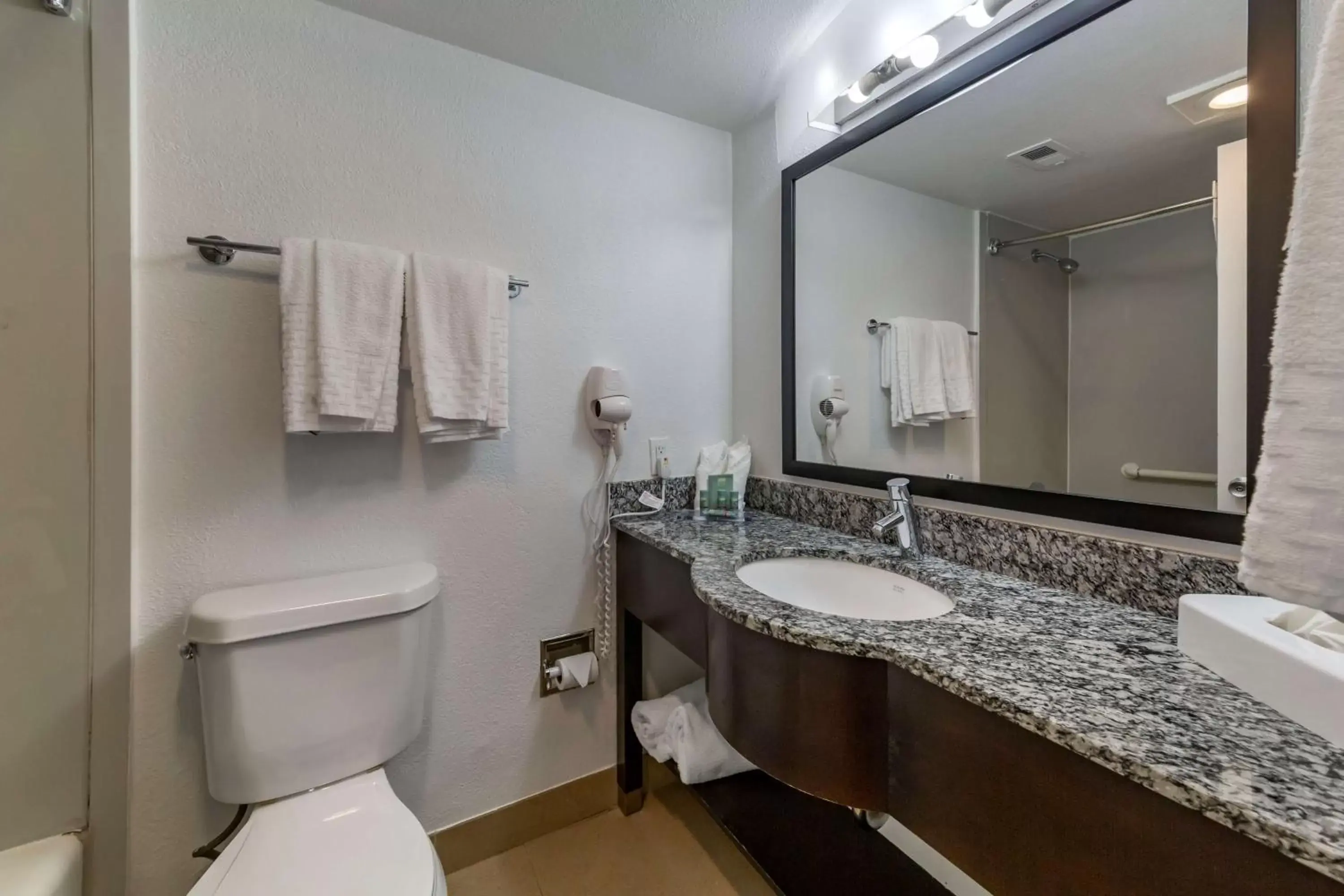 Bathroom in Best Western Palm Beach Lakes