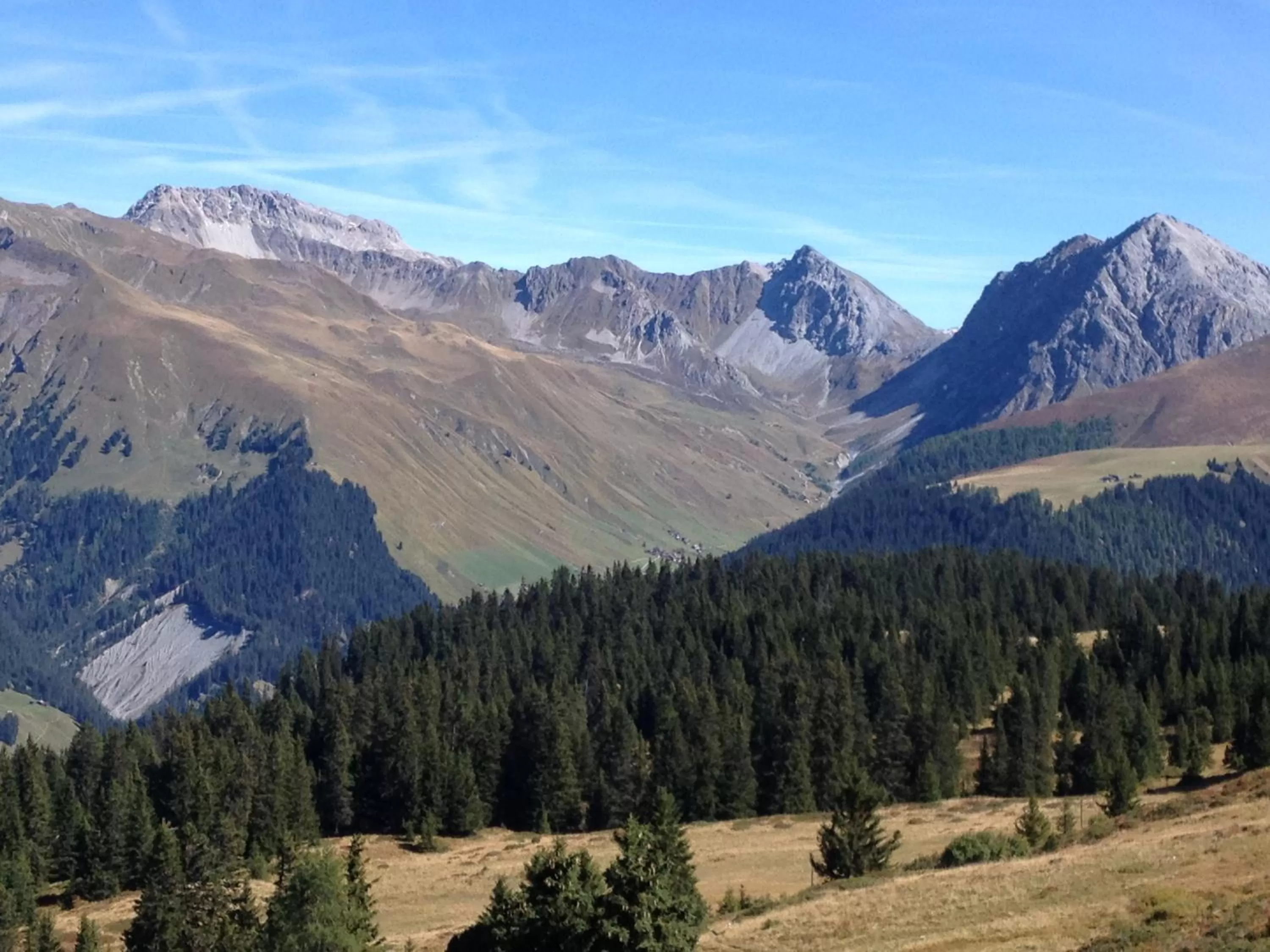 Area and facilities in Hotel Seehof-Arosa