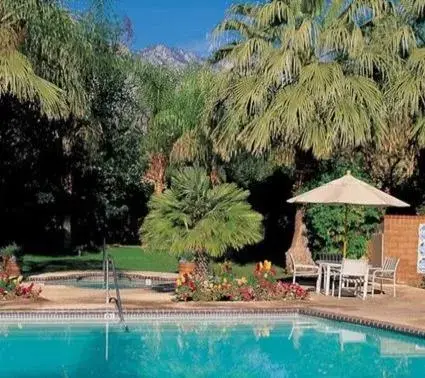 Swimming pool in The Oasis Resort Swimming pool in The Oasis Resort