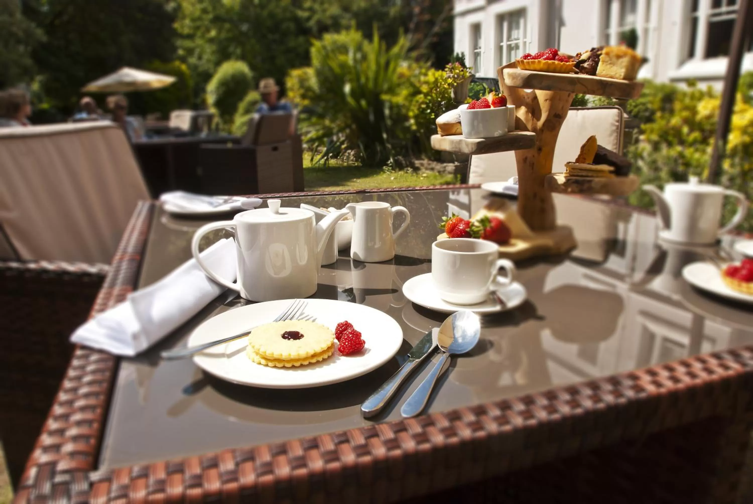 Garden in The Green House