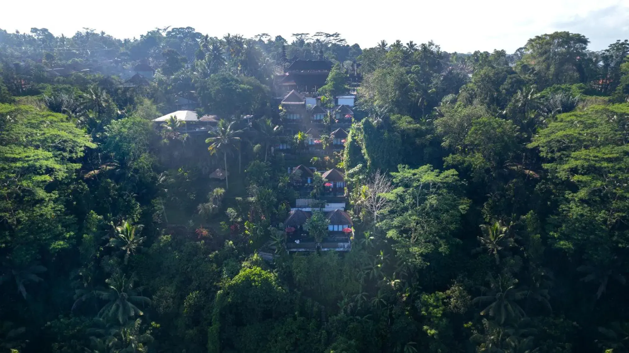 Natural landscape in Black Penny Villas Ubud