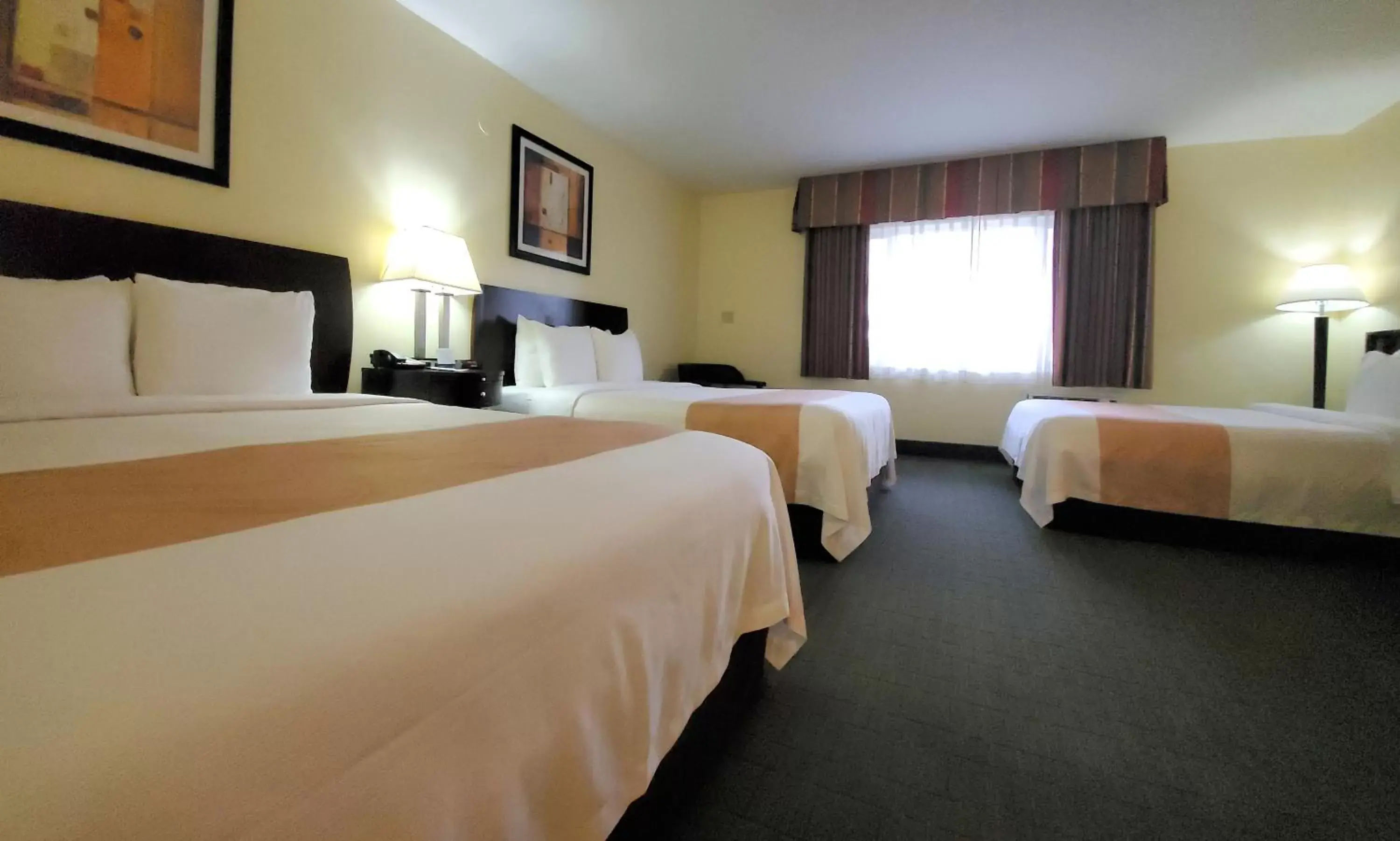 Bed in Quality Inn & Suites Anaheim at the Park