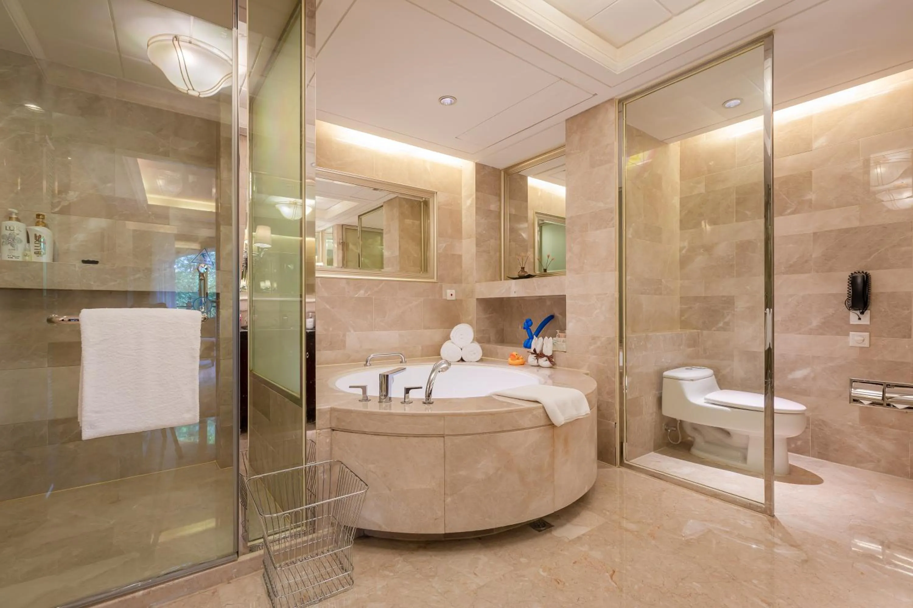 Toilet in Your World International Conference Centre Hotel