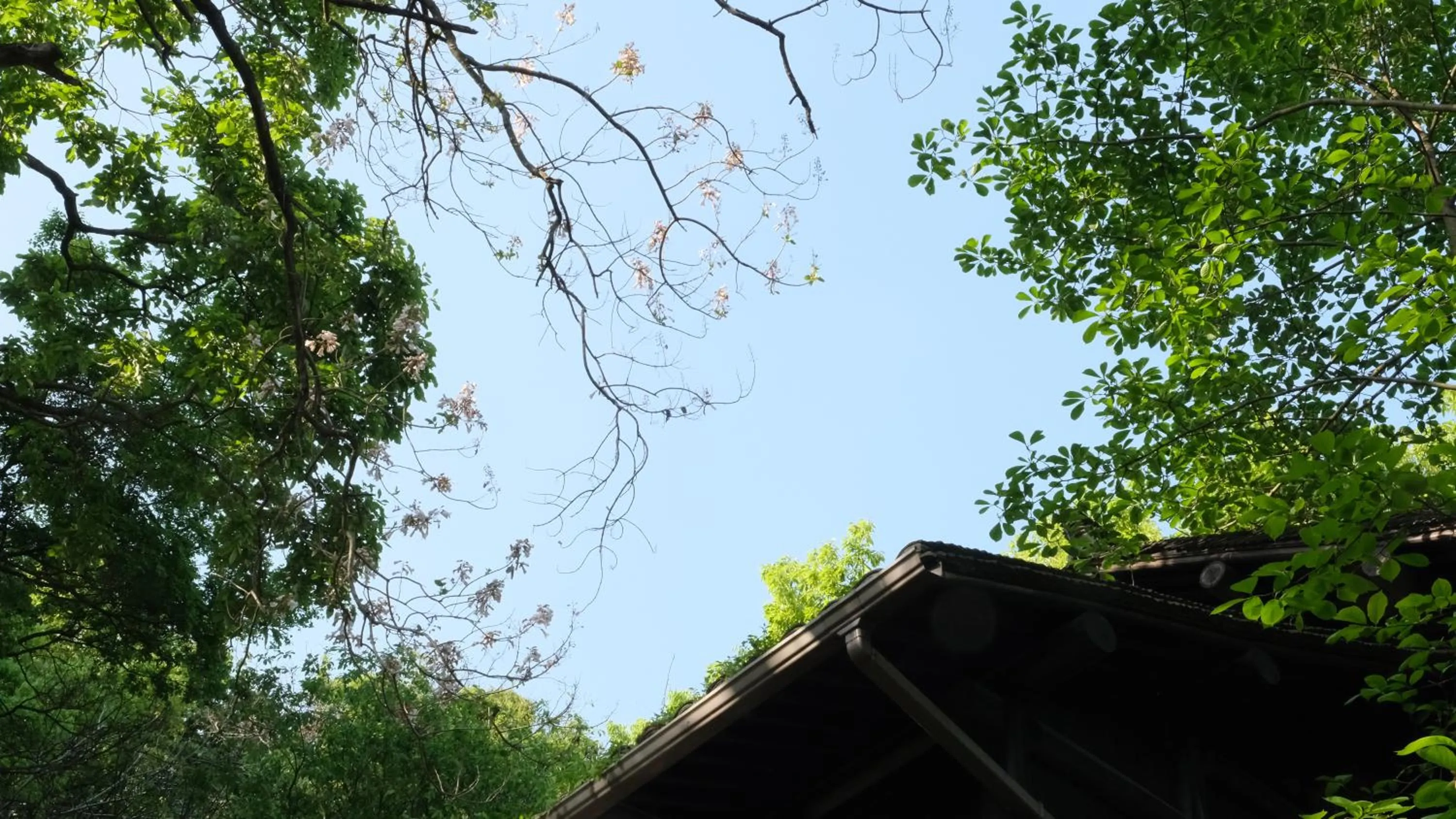 Property building in Rock&Wood Cozy House