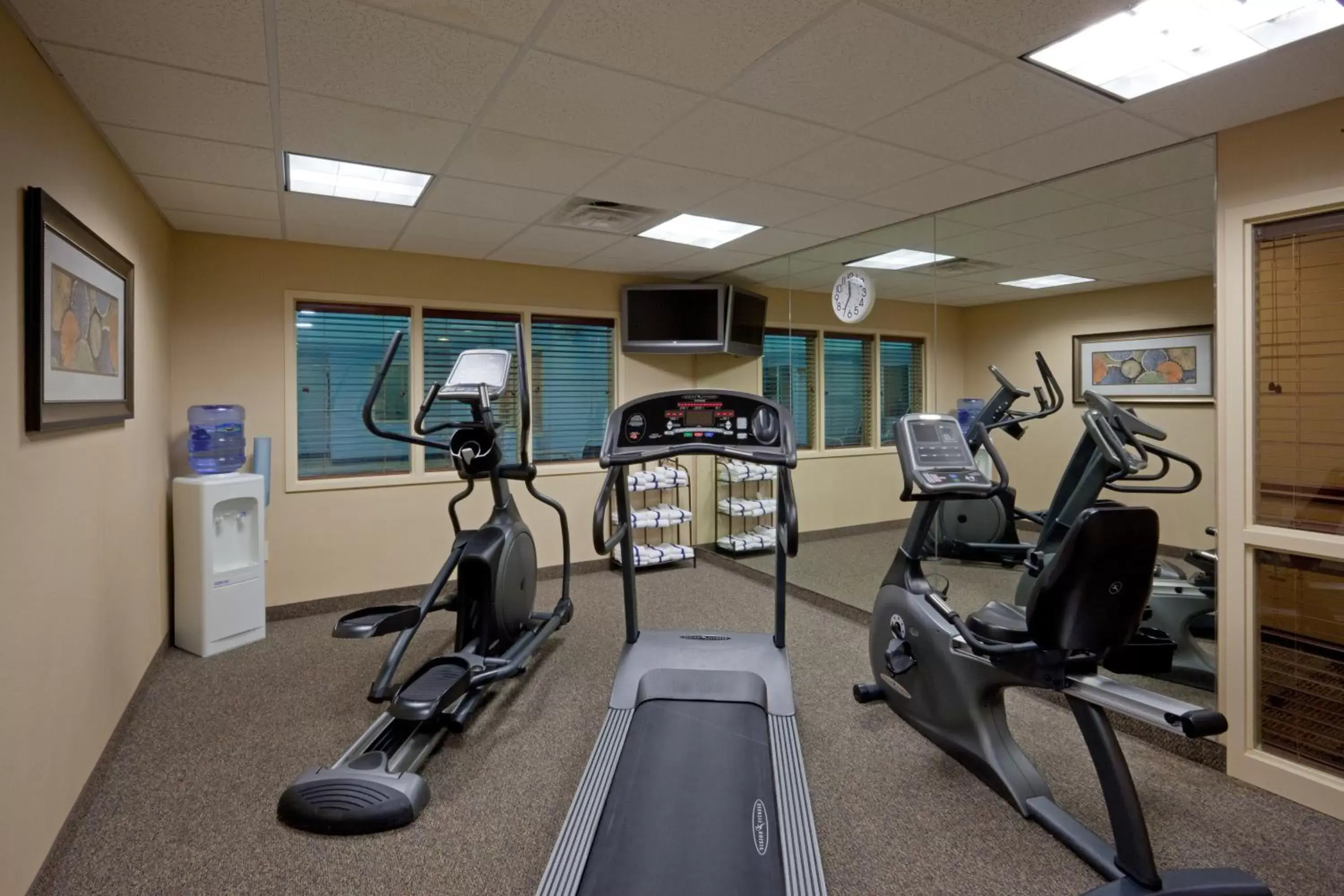 Spa and wellness centre/facilities, Fitness Center/Facilities in Holiday Inn Express Hotel & Suites Rochester, an IHG Hotel