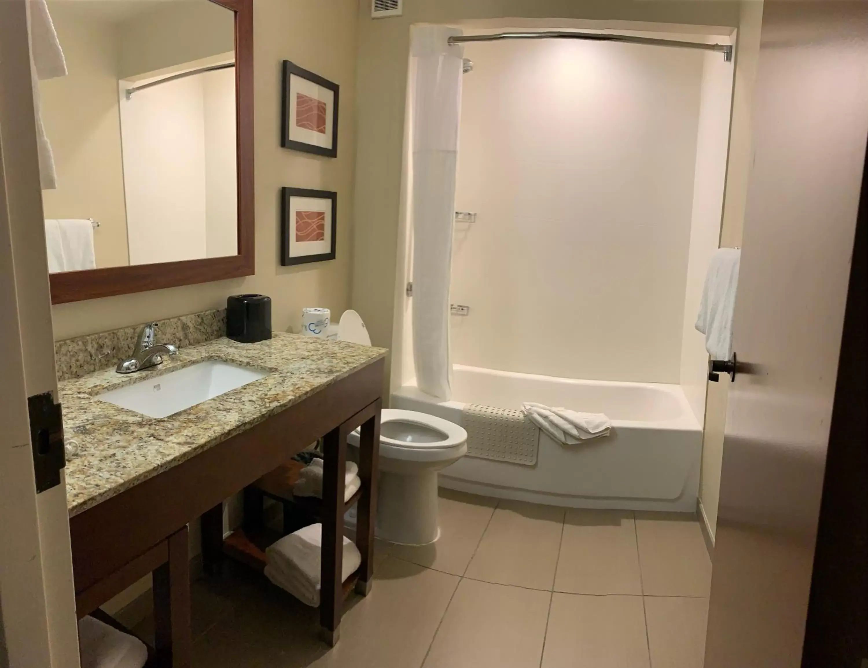 Bathroom in Comfort Inn Naples East I-75