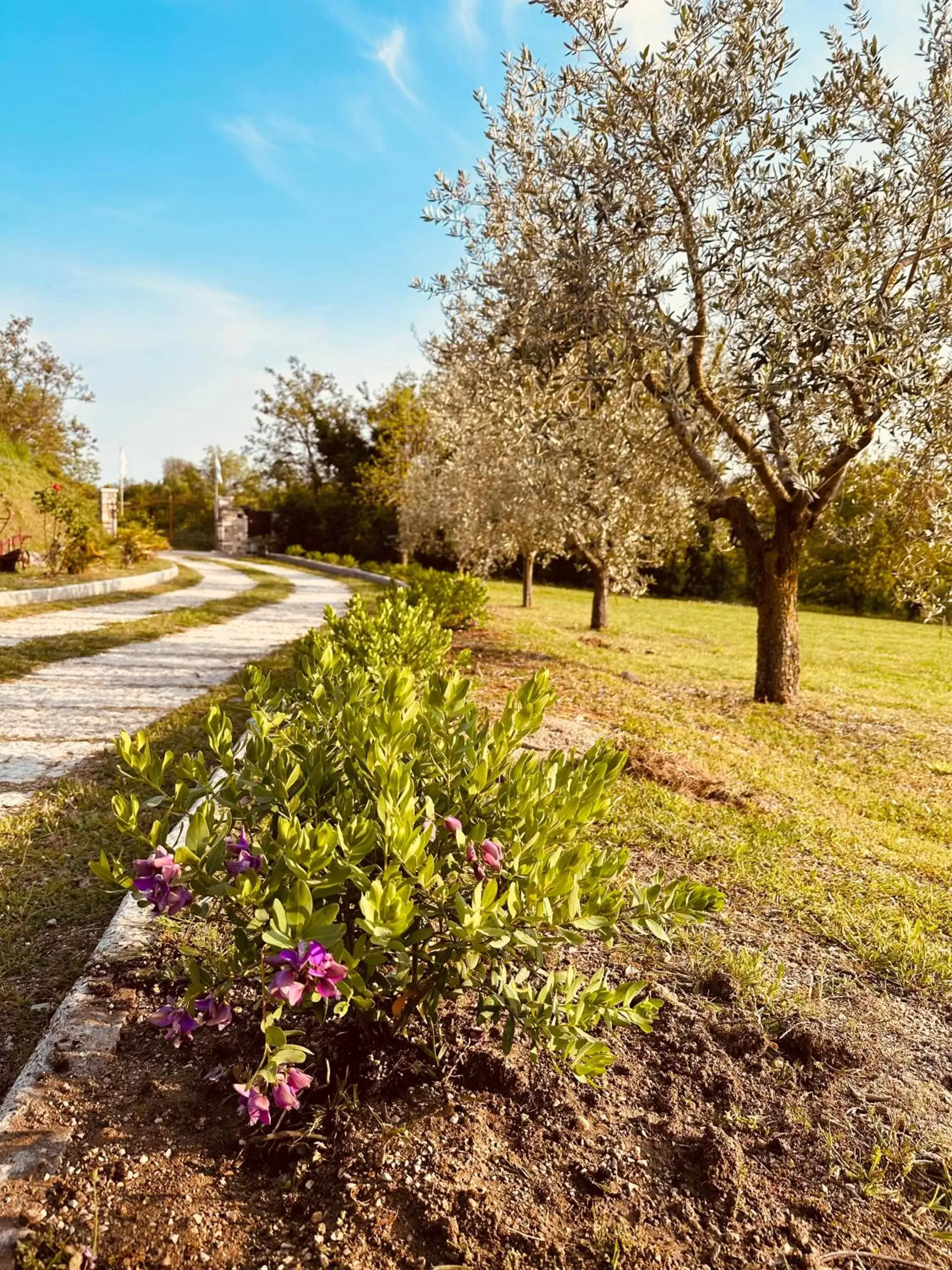 Garden in B&B Sovenigo