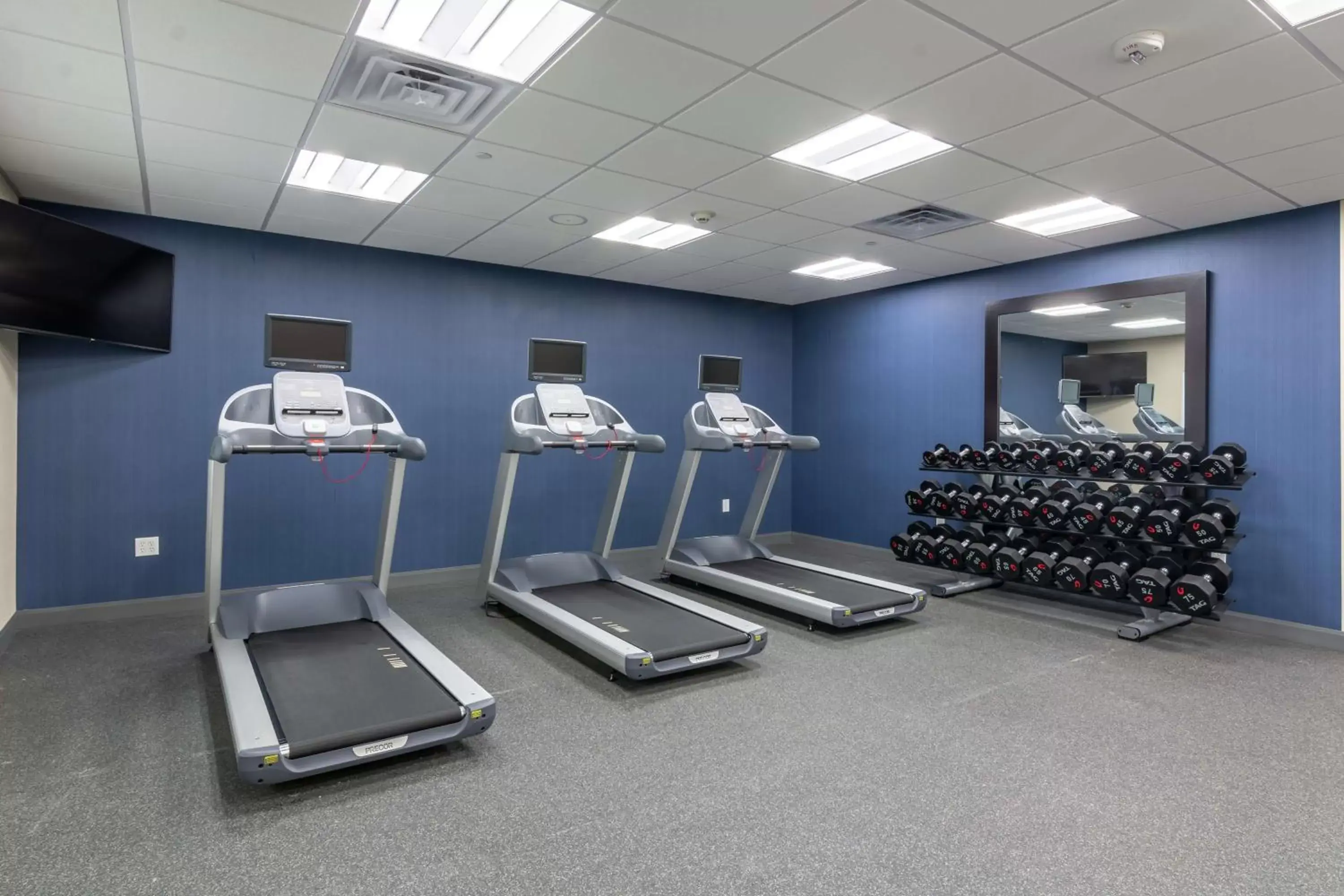 Fitness centre/facilities, Fitness Center/Facilities in Hampton Inn & Suites Dallas East