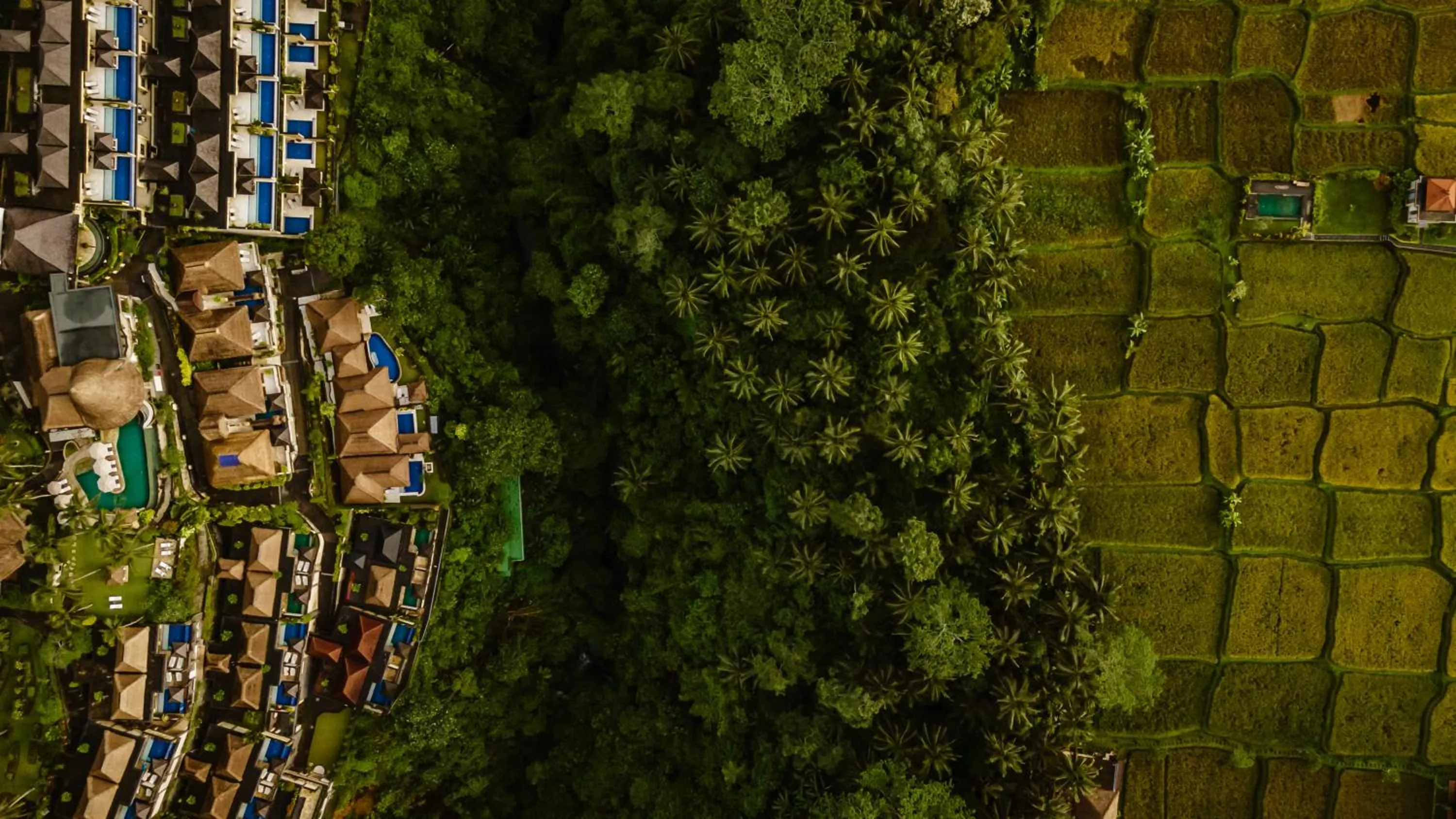 View (from property/room) in Viceroy Bali