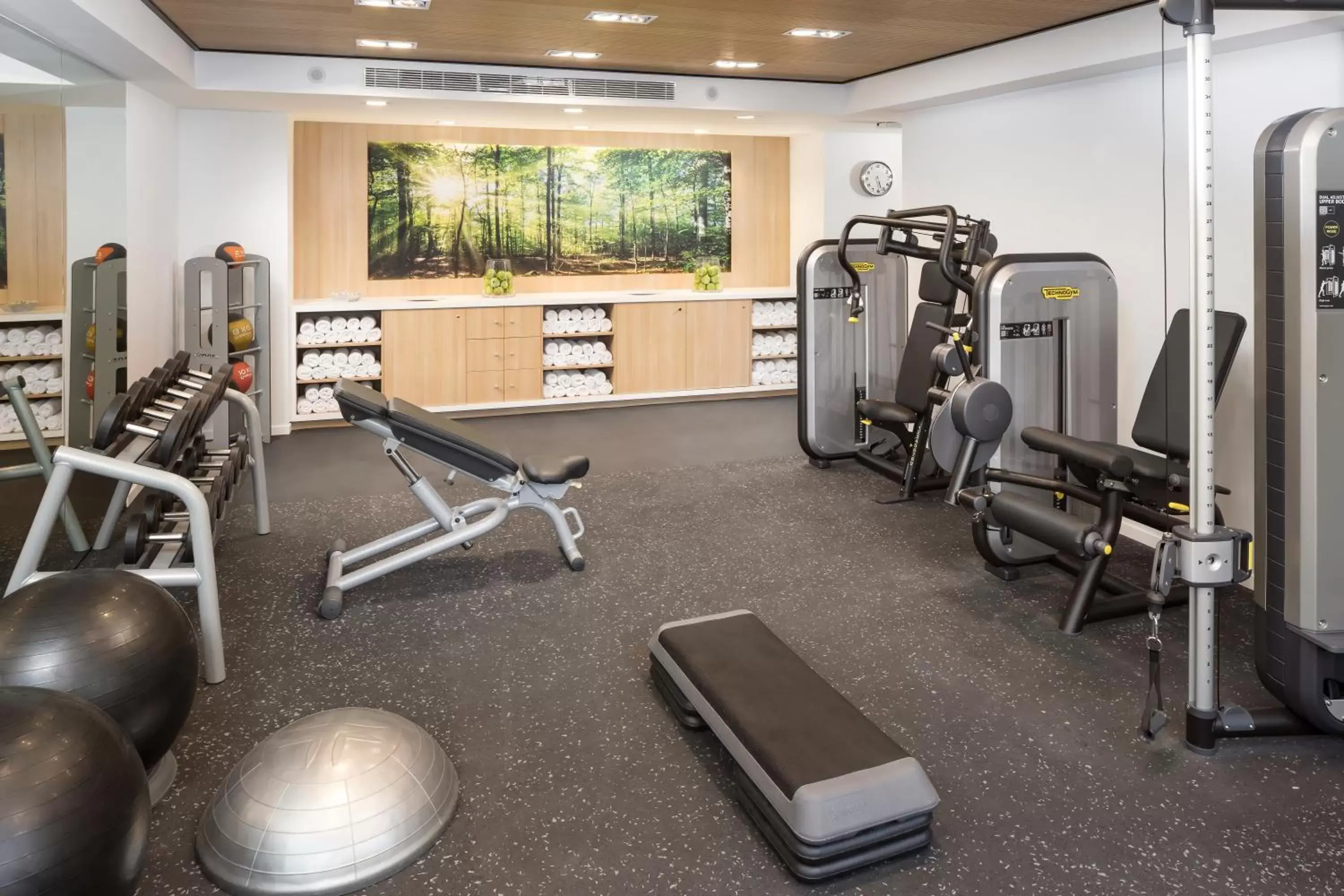 Fitness centre/facilities, Fitness Center/Facilities in Melia Castilla