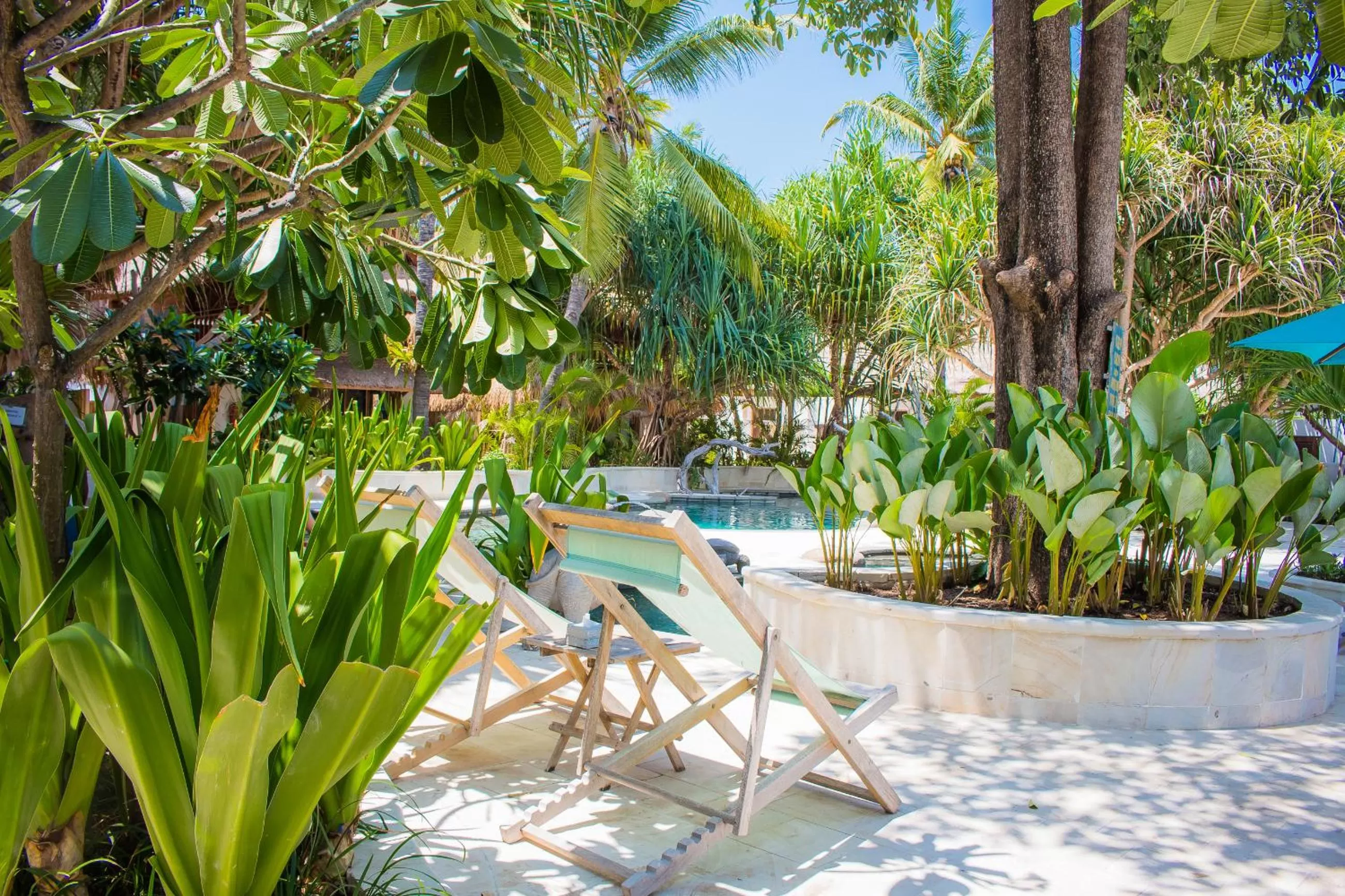 Garden view in Sunrise Resort